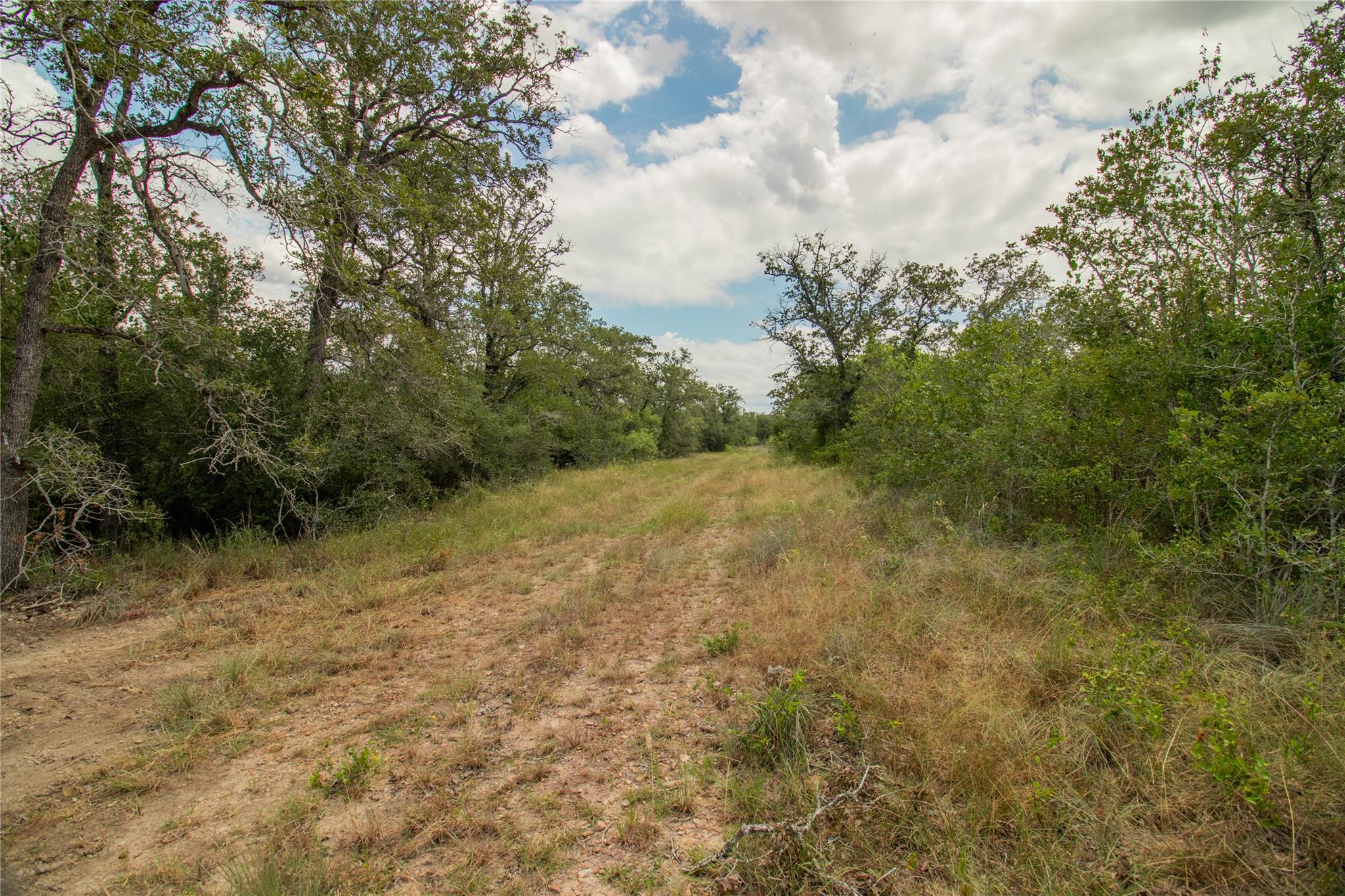 9057 Sycamore Shade Ln, Kingsbury, TX 78155