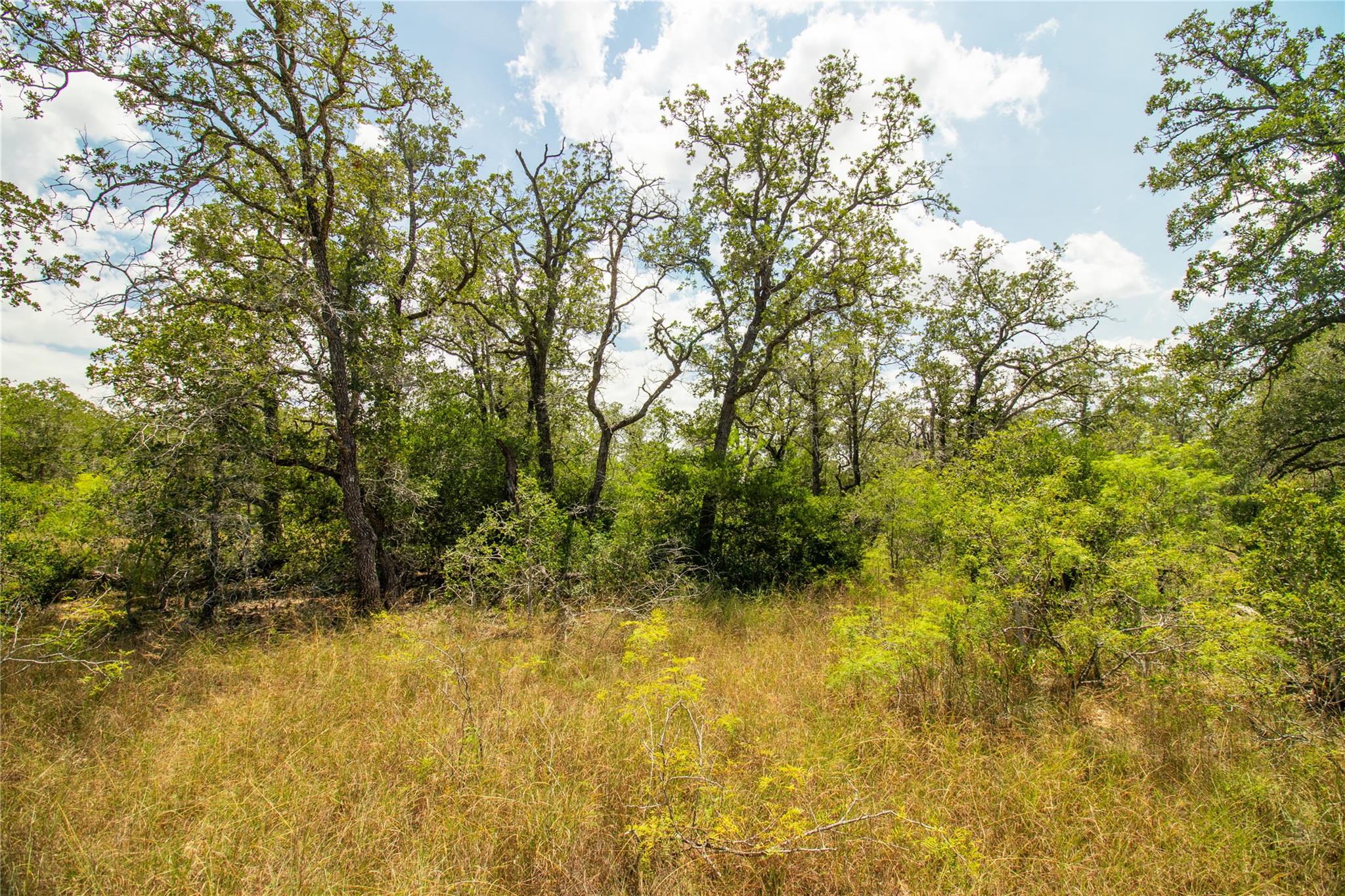 9057 Sycamore Shade Ln, Kingsbury, TX 78155