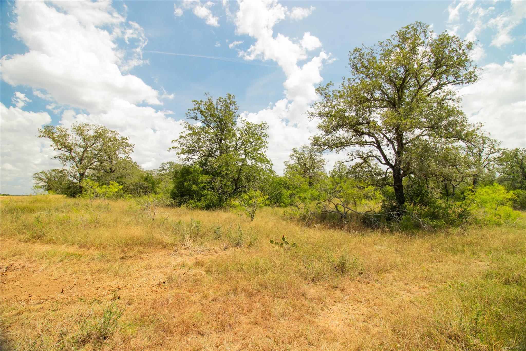 9057 Sycamore Shade Ln, Kingsbury, TX 78155