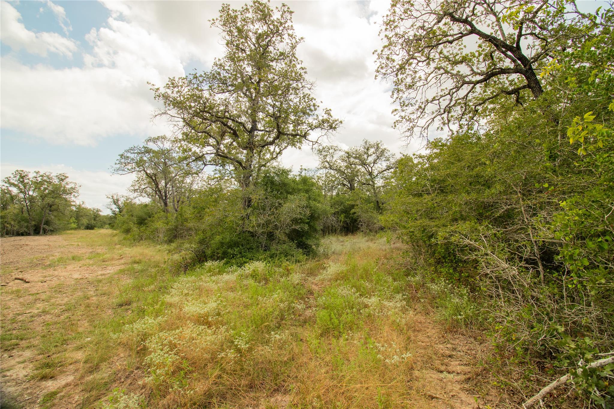 9057 Sycamore Shade Ln, Kingsbury, TX 78155