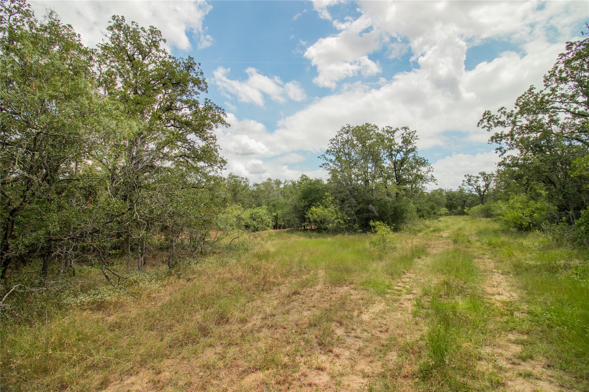 9057 Sycamore Shade Ln, Kingsbury, TX 78155