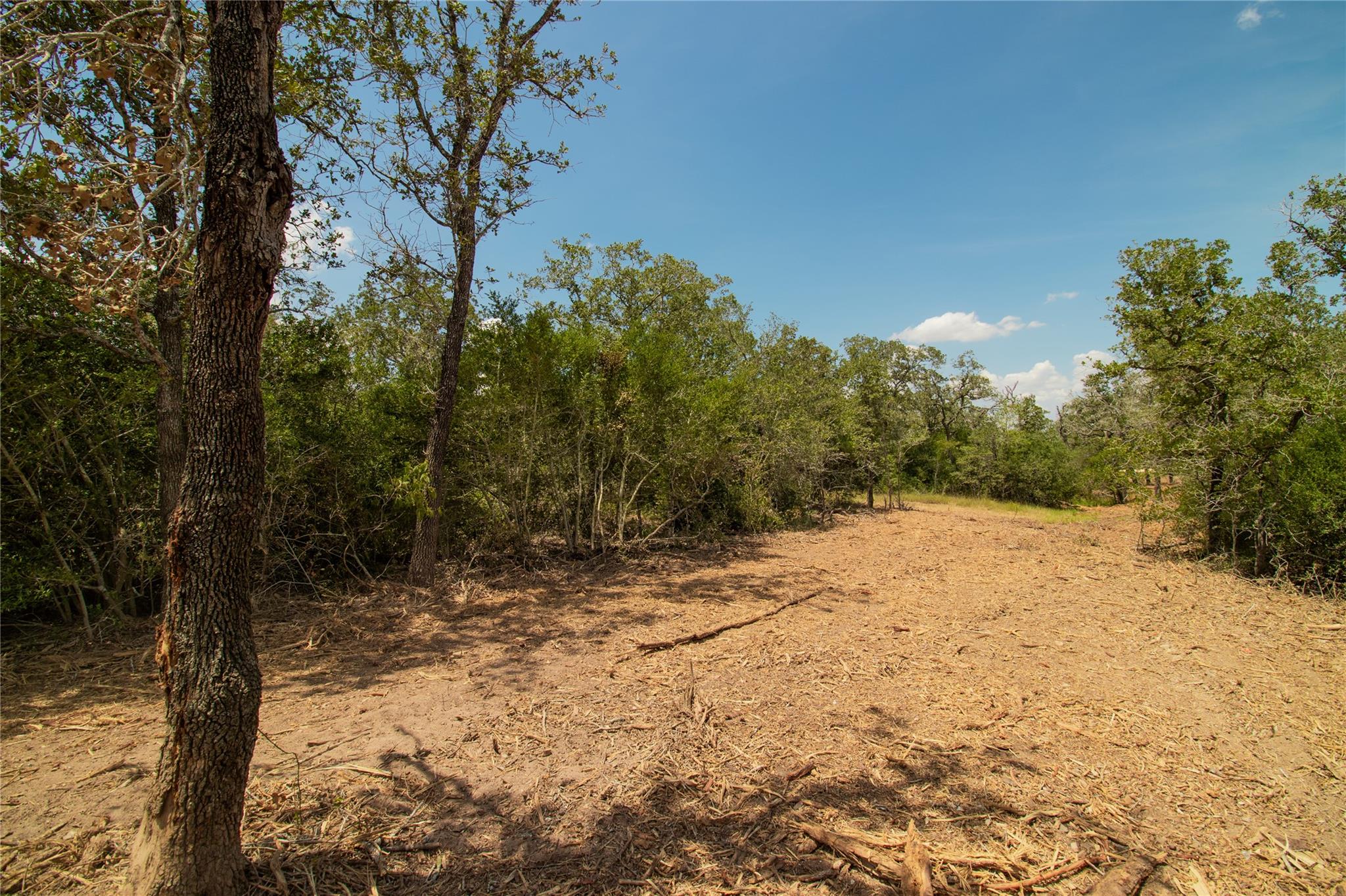 9057 Sycamore Shade Ln, Kingsbury, TX 78155