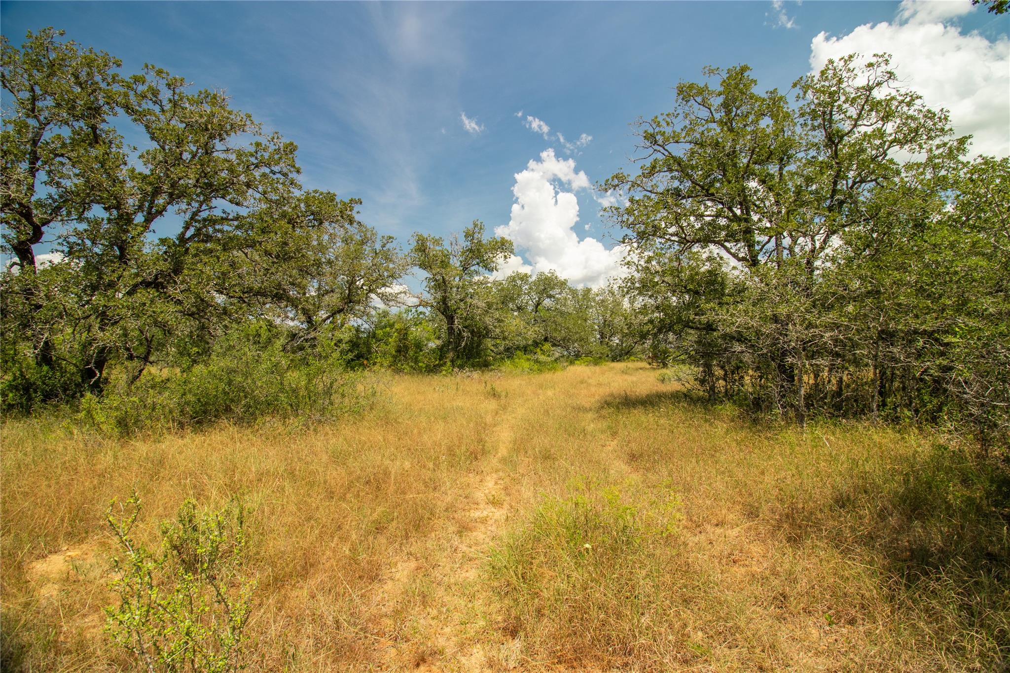 9057 Sycamore Shade Ln, Kingsbury, TX 78155