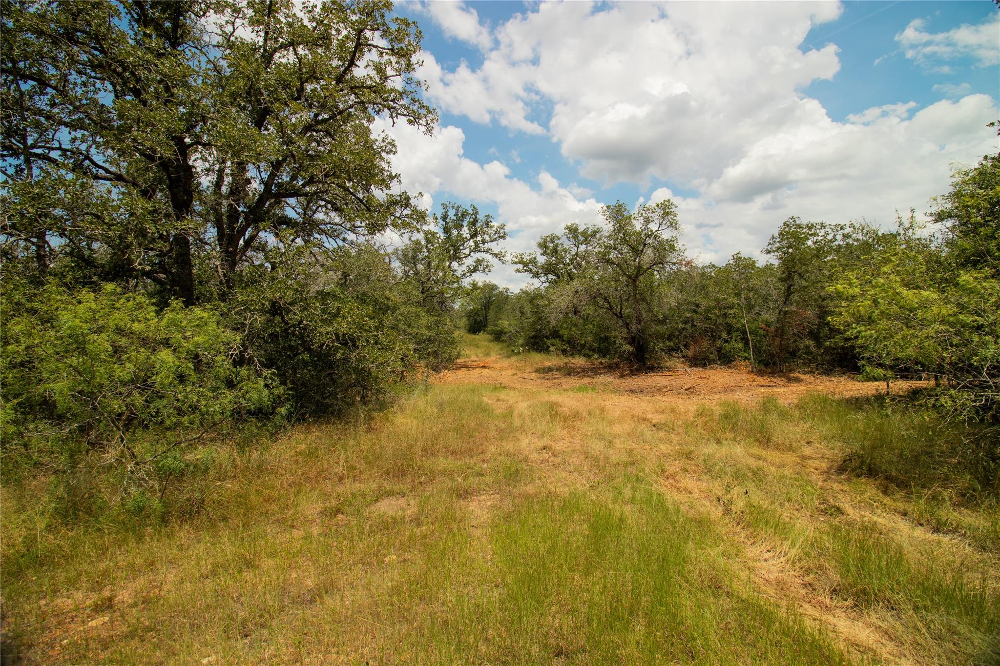 9057 Sycamore Shade Ln, Kingsbury, TX 78155