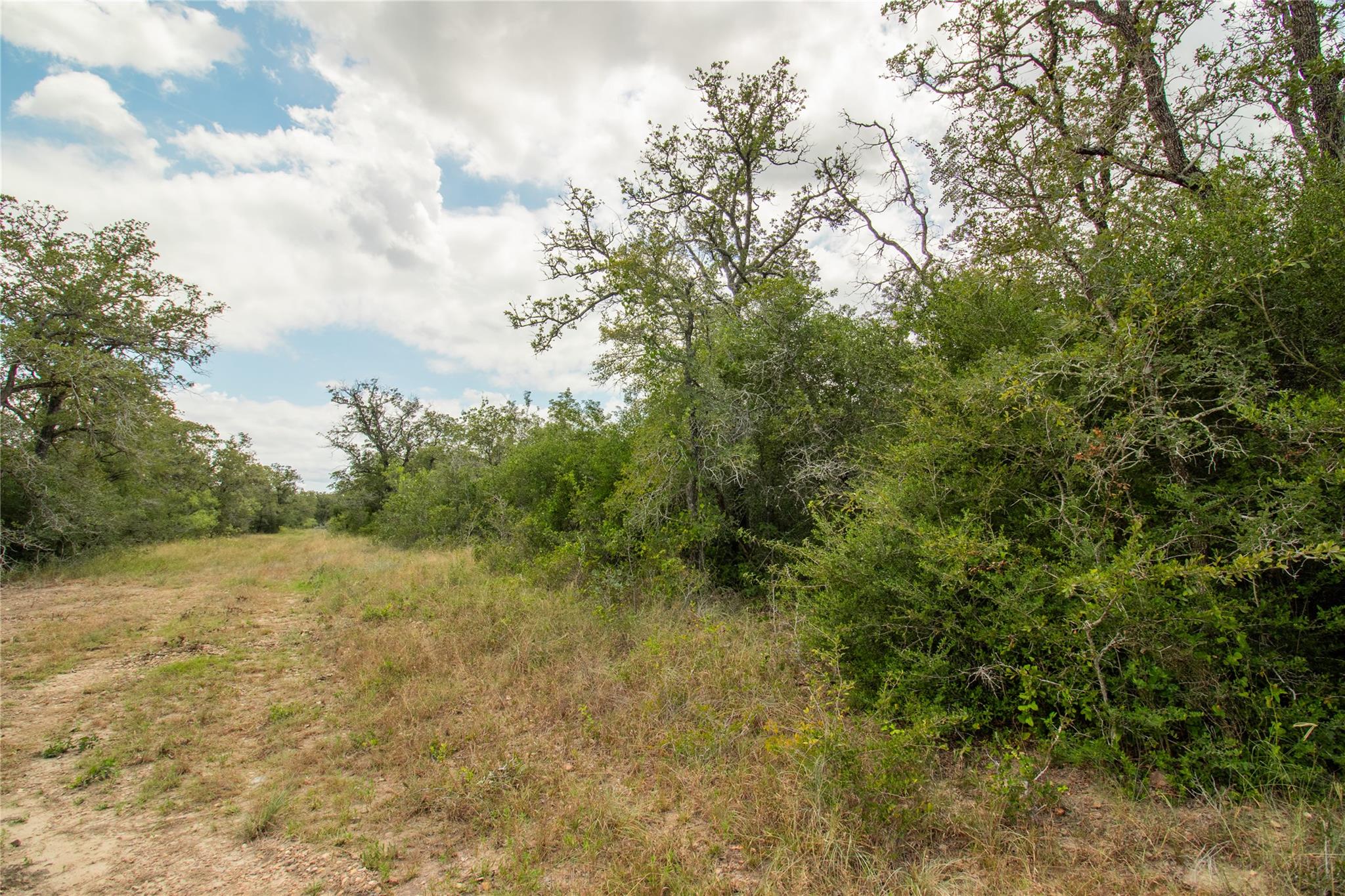 9057 Sycamore Shade Ln, Kingsbury, TX 78155