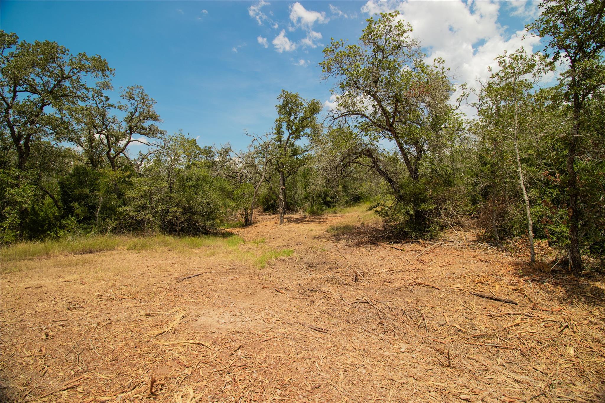 9057 Sycamore Shade Ln, Kingsbury, TX 78155