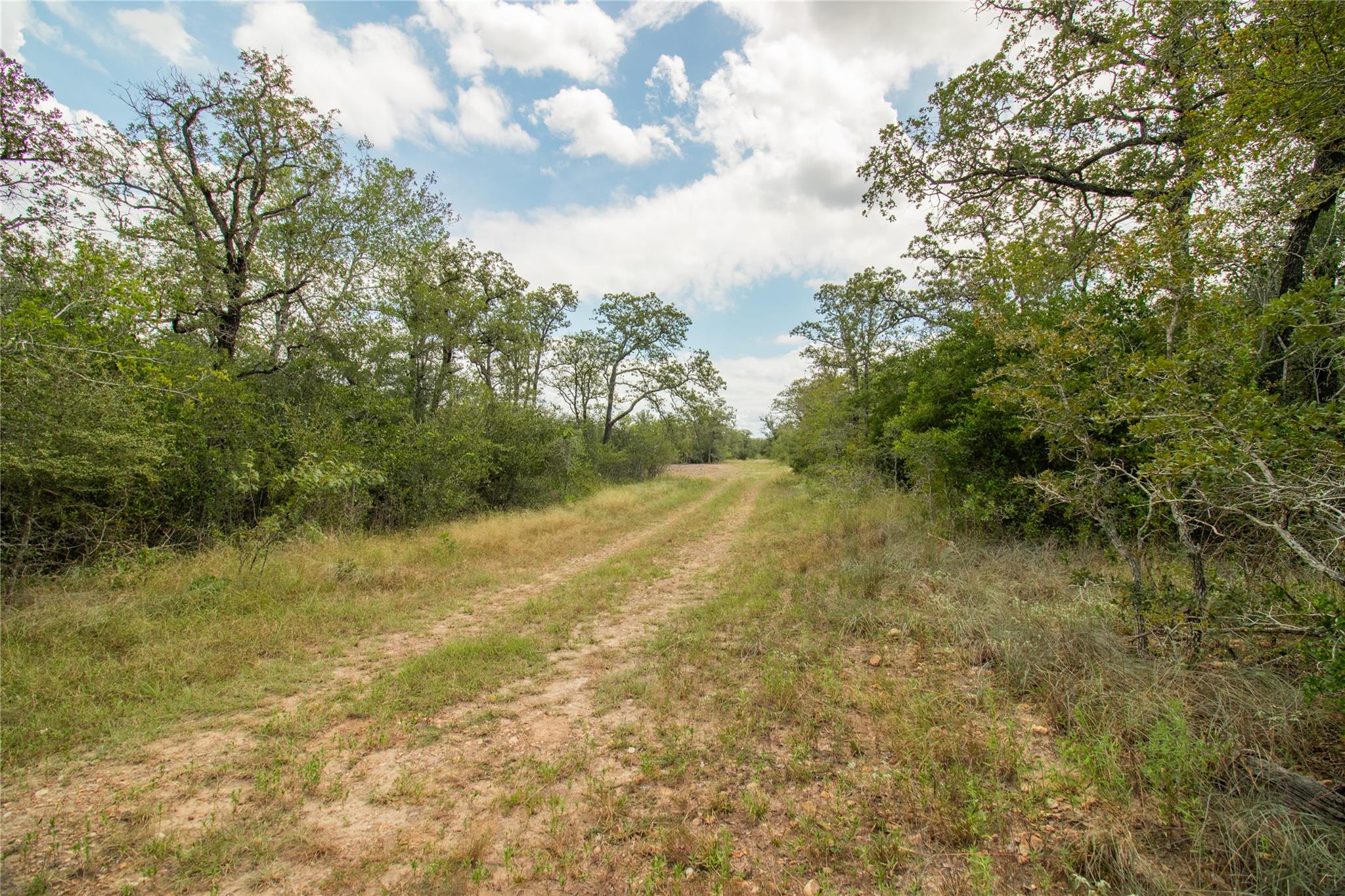 9057 Sycamore Shade Ln, Kingsbury, TX 78155