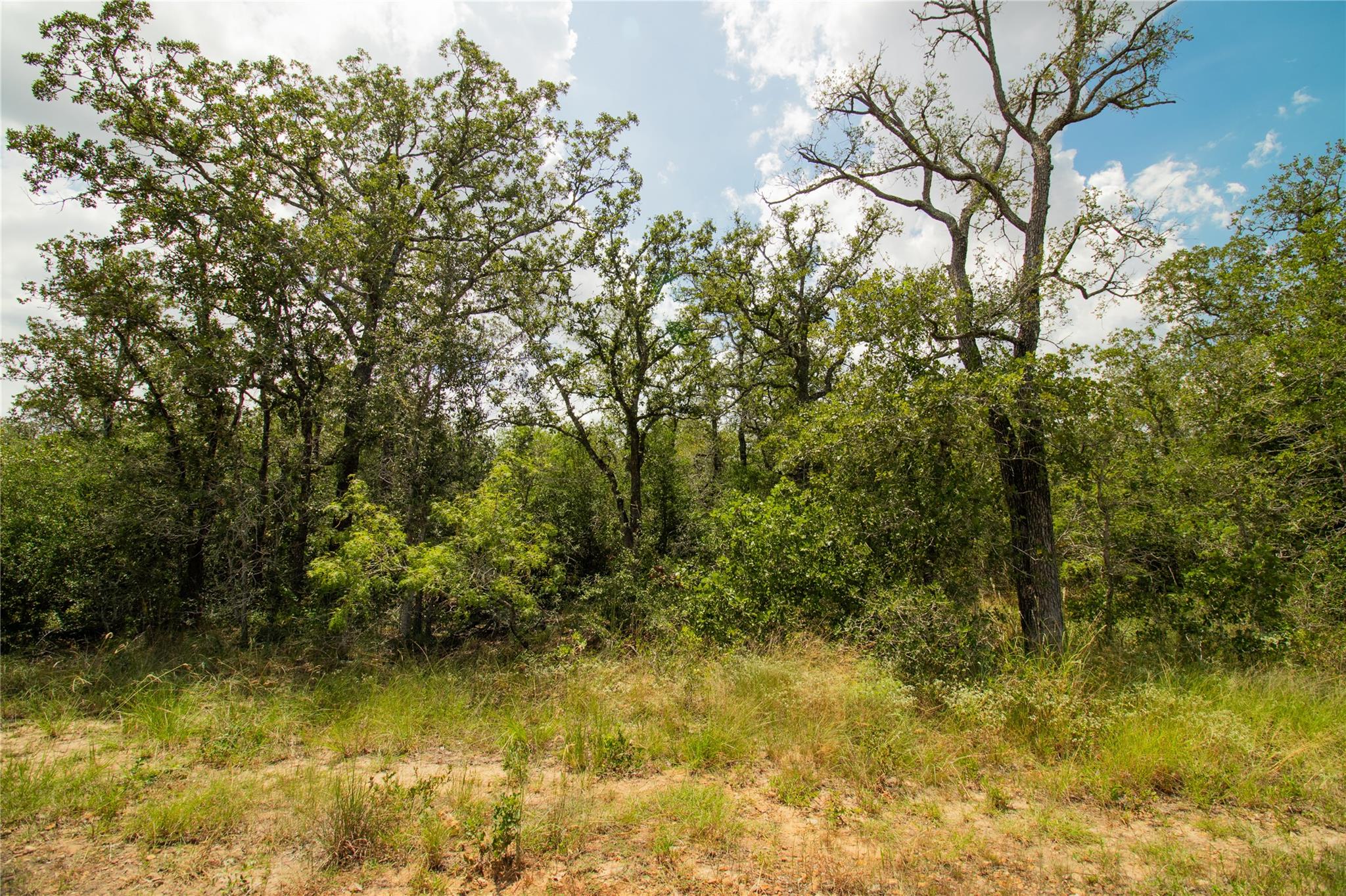 9057 Sycamore Shade Ln, Kingsbury, TX 78155