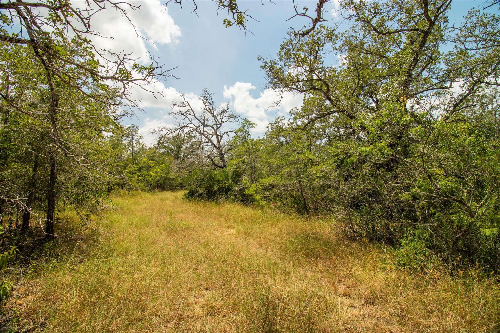 9057 Sycamore Shade Ln, Kingsbury, TX 78155