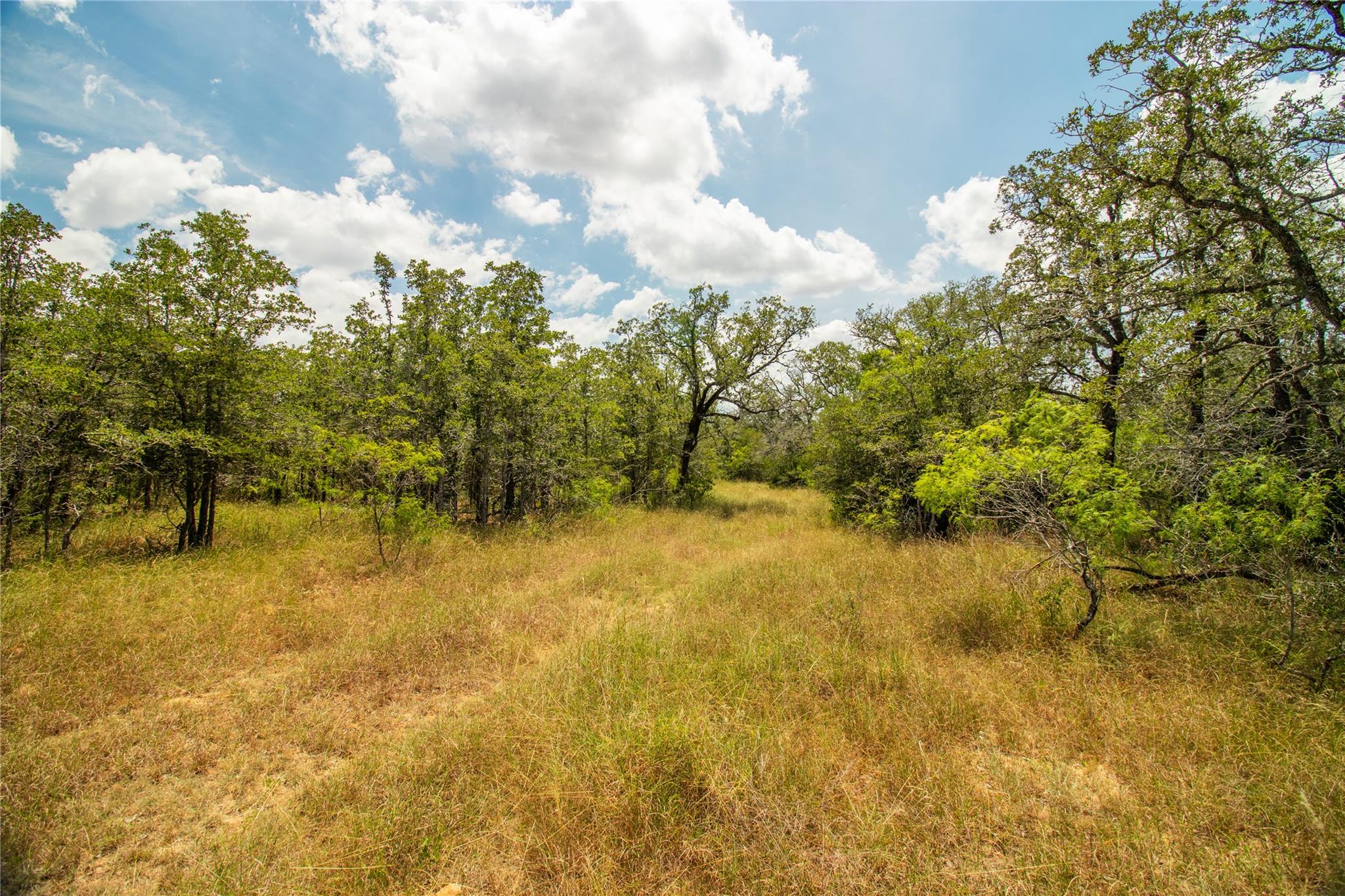 9057 Sycamore Shade Ln, Kingsbury, TX 78155