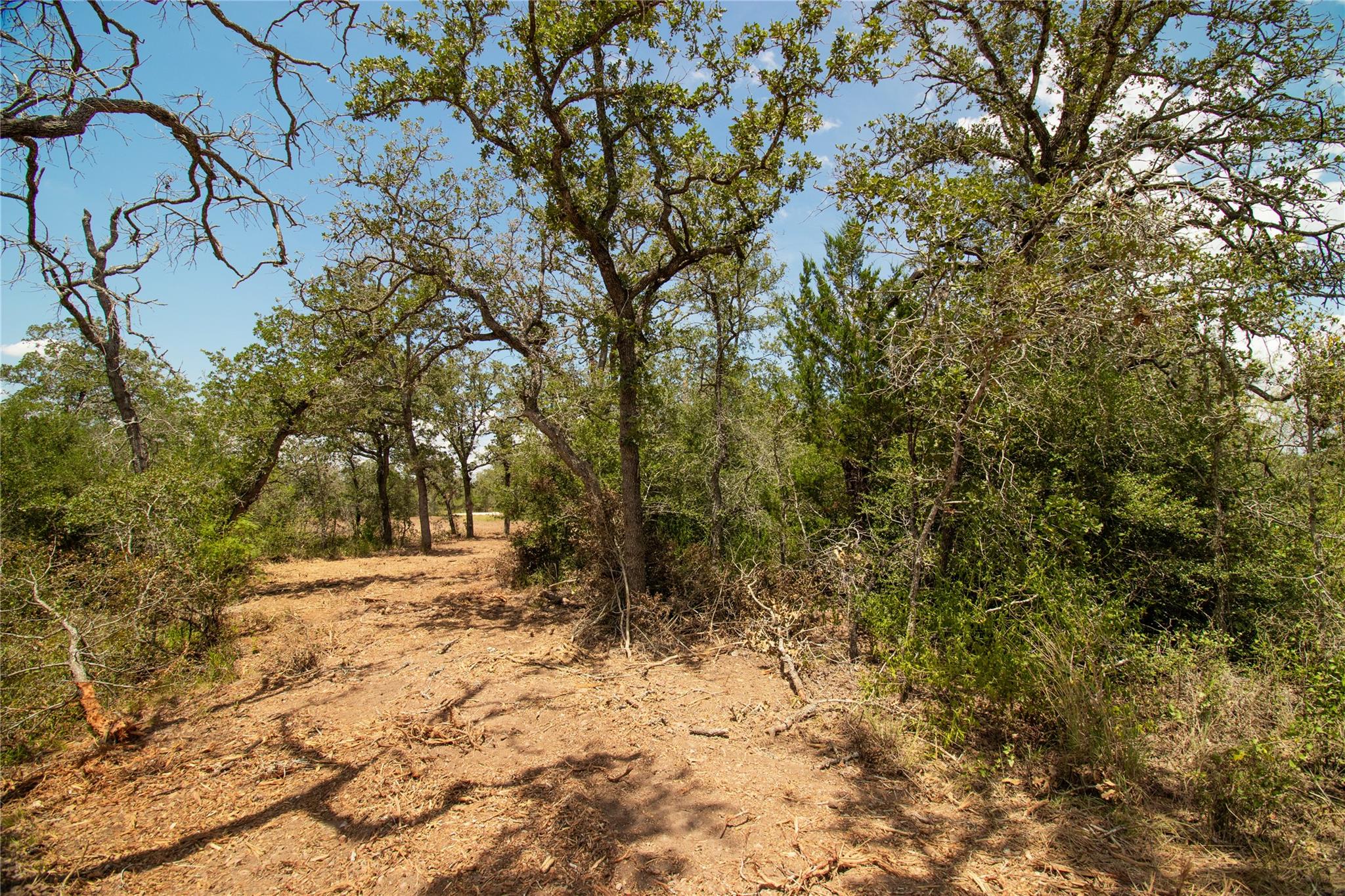 9057 Sycamore Shade Ln, Kingsbury, TX 78155
