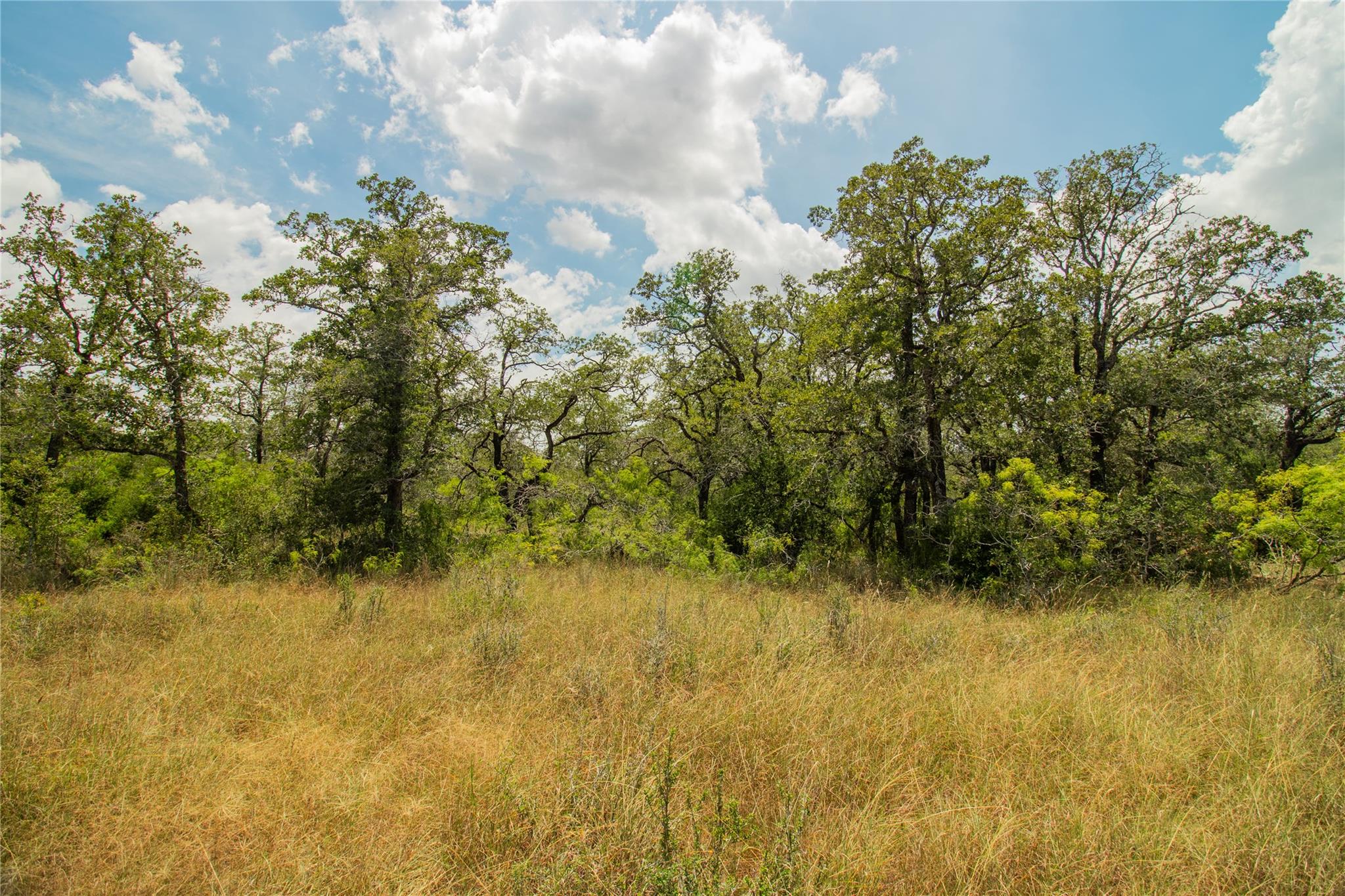 9057 Sycamore Shade Ln, Kingsbury, TX 78155