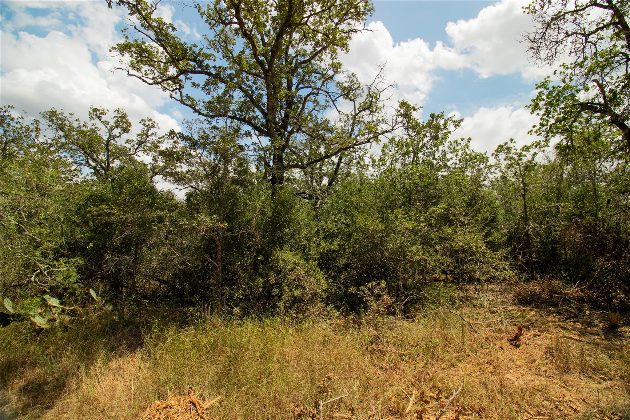 9057 Sycamore Shade Ln, Kingsbury, TX 78155