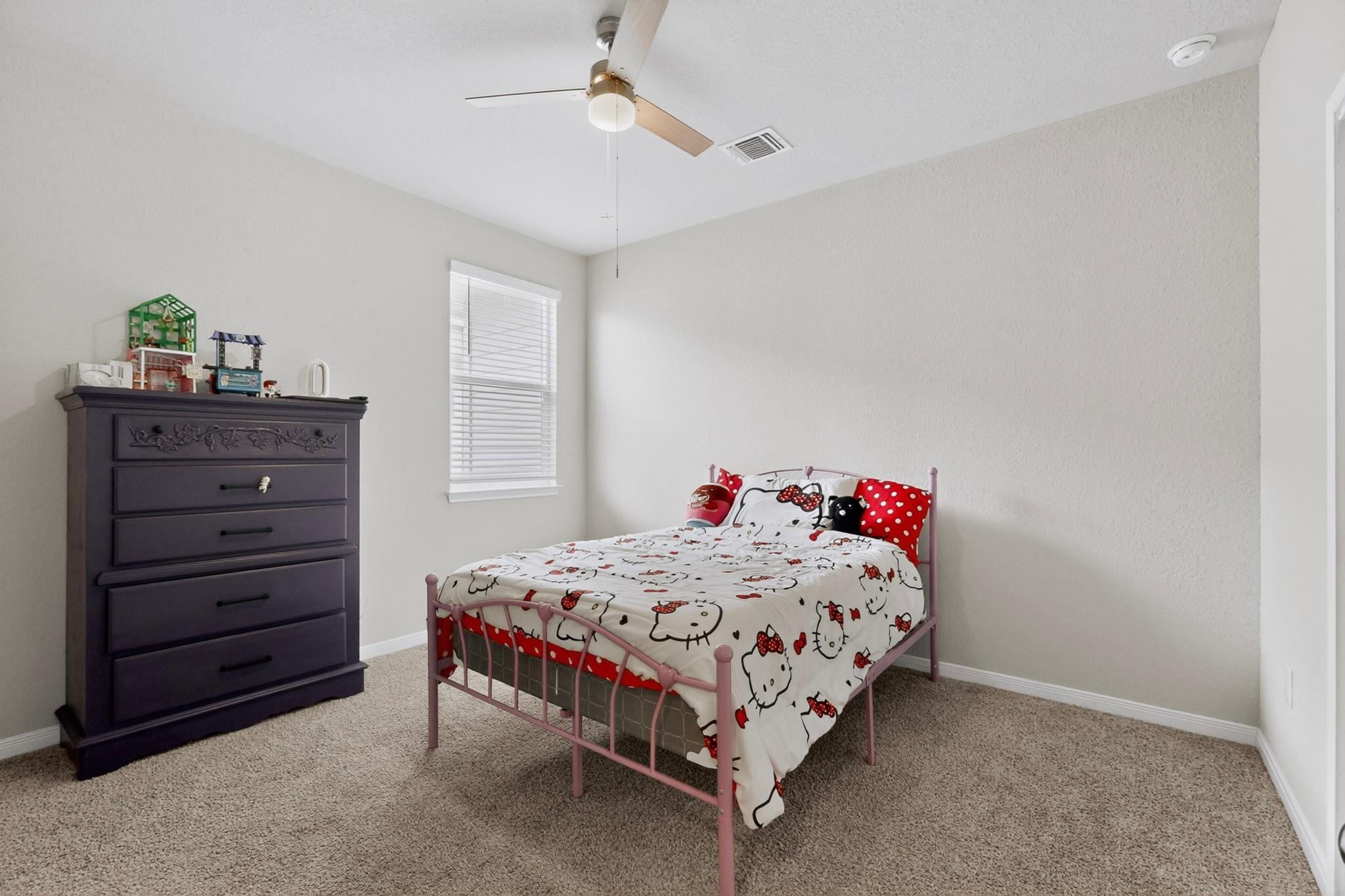 119 Stellamar Dr, Hutto, TX 78634