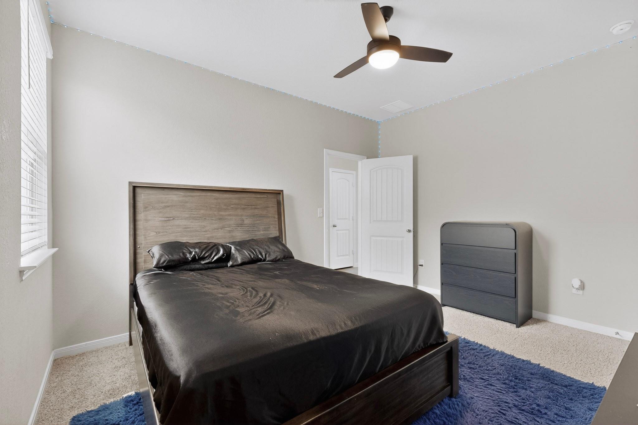 119 Stellamar Dr, Hutto, TX 78634