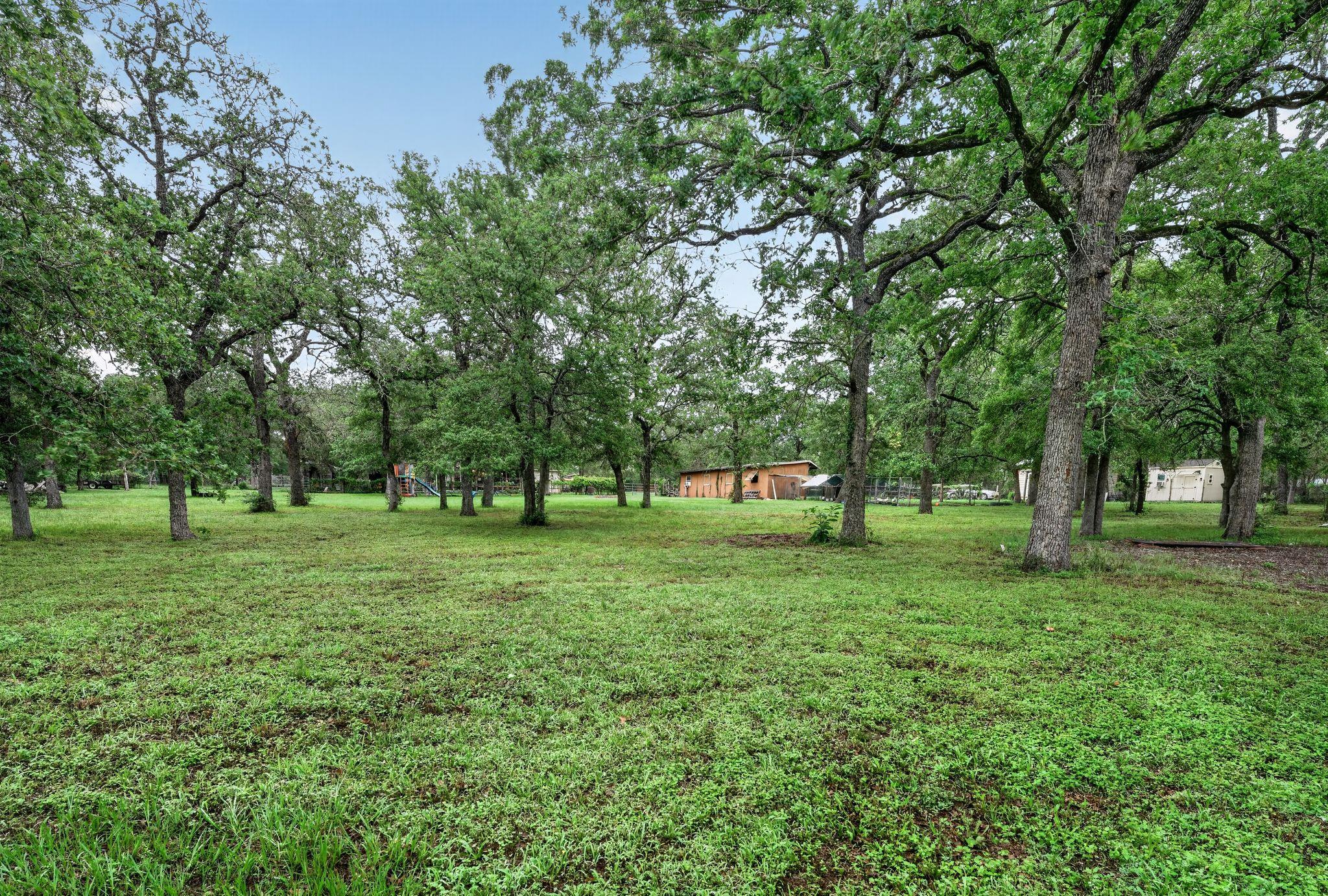 110 Webberwood Way N, Elgin, TX 78621
