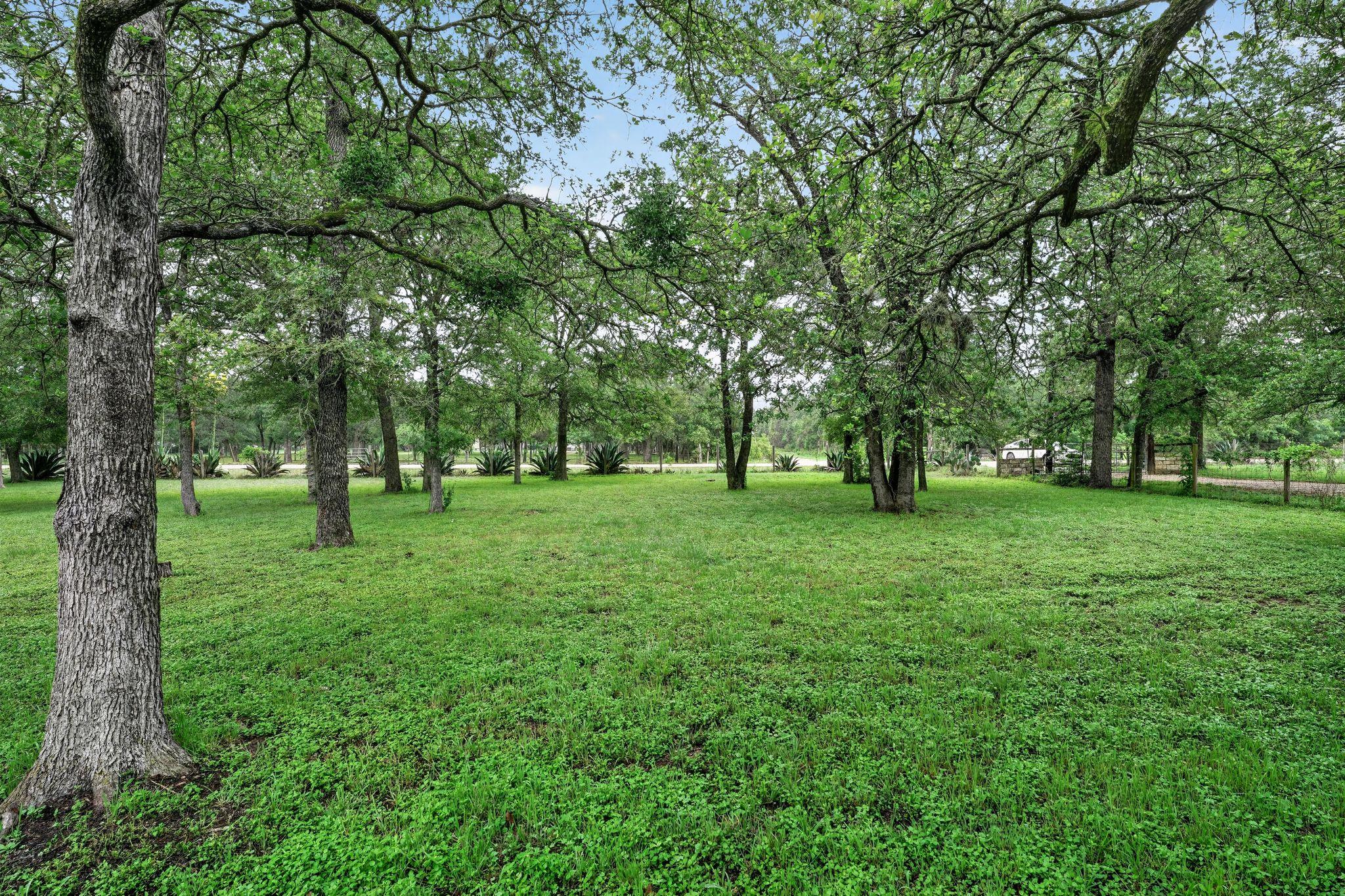 110 Webberwood Way N, Elgin, TX 78621