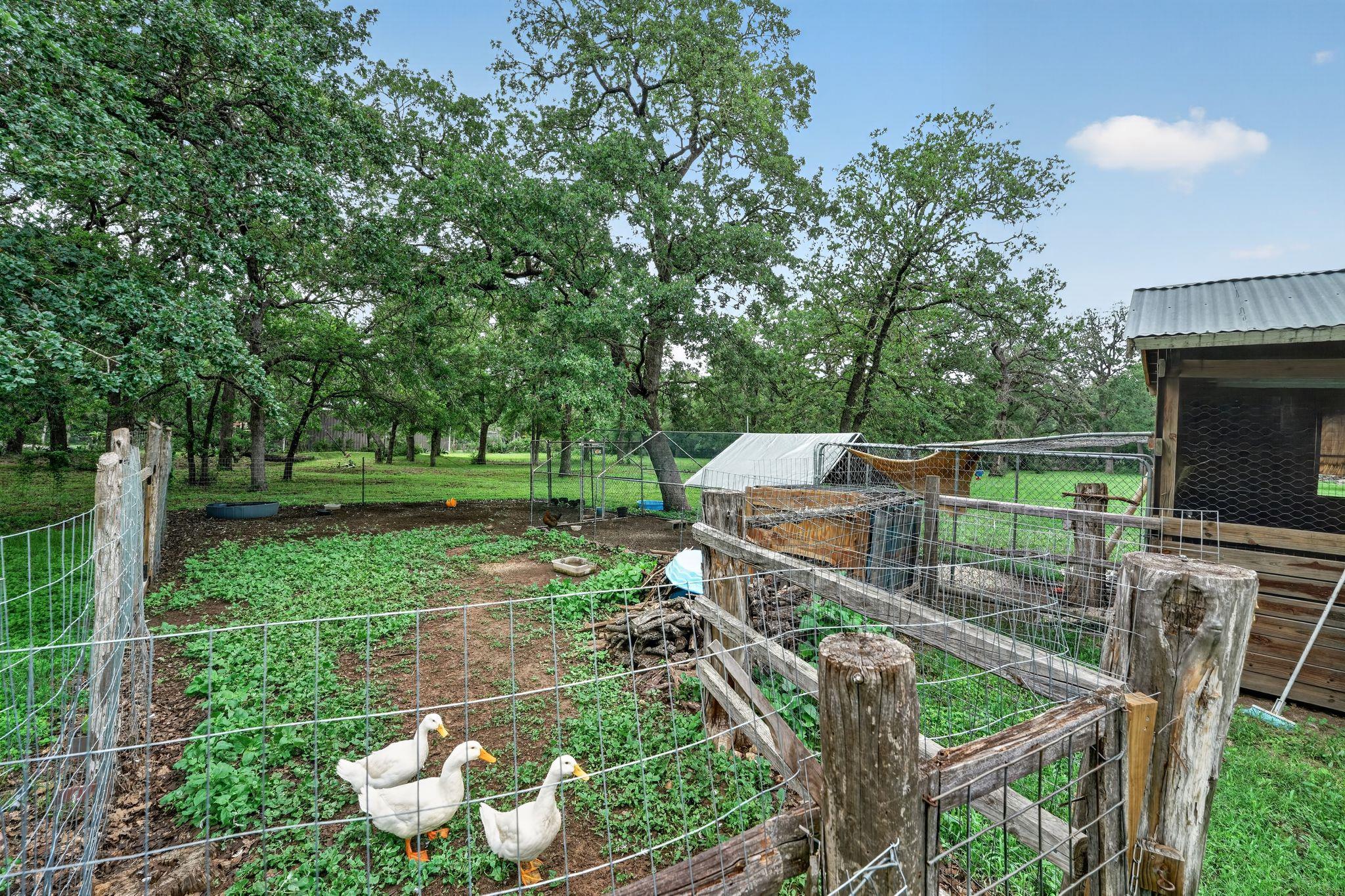 110 Webberwood Way N, Elgin, TX 78621