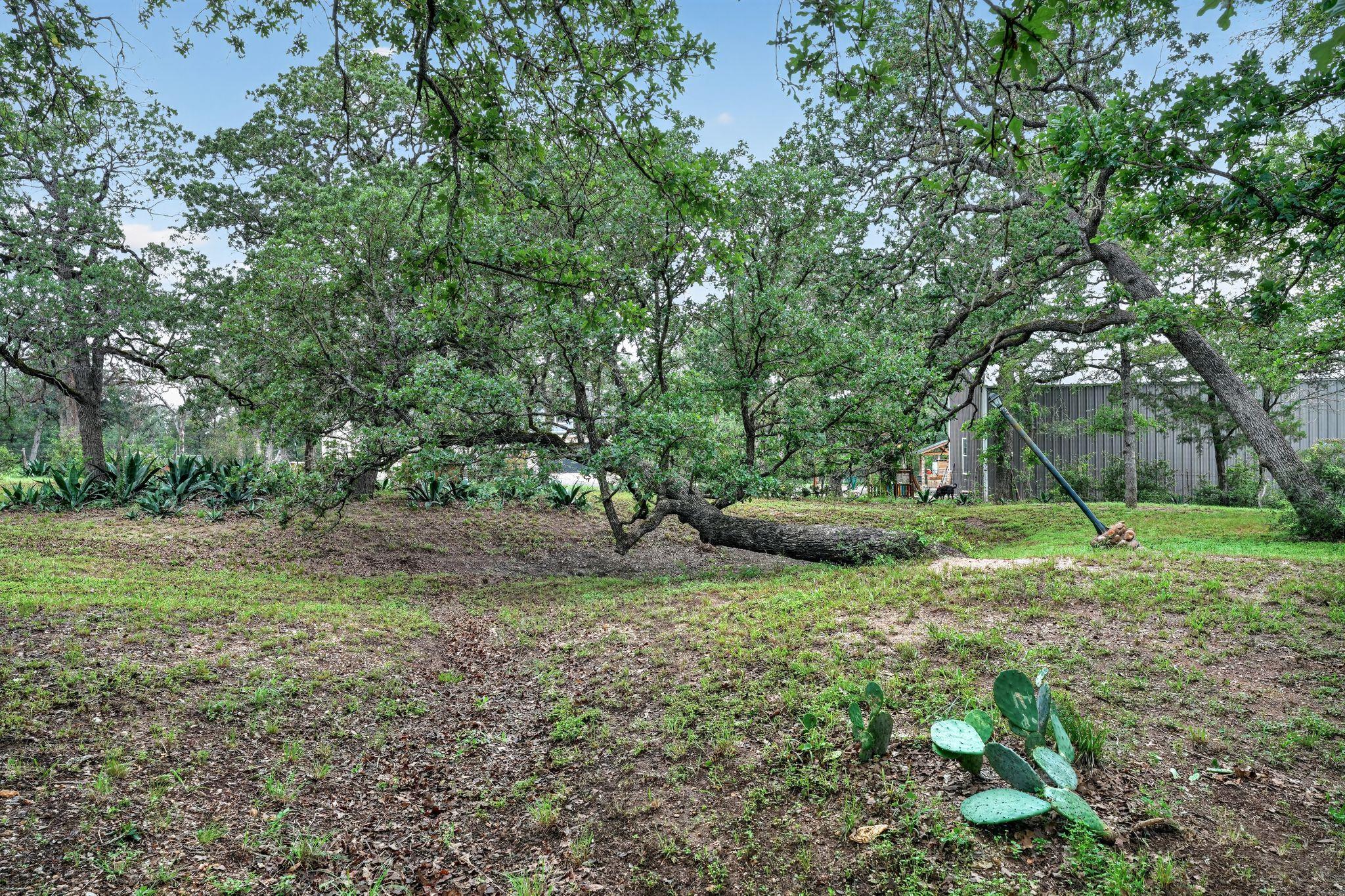 110 Webberwood Way N, Elgin, TX 78621