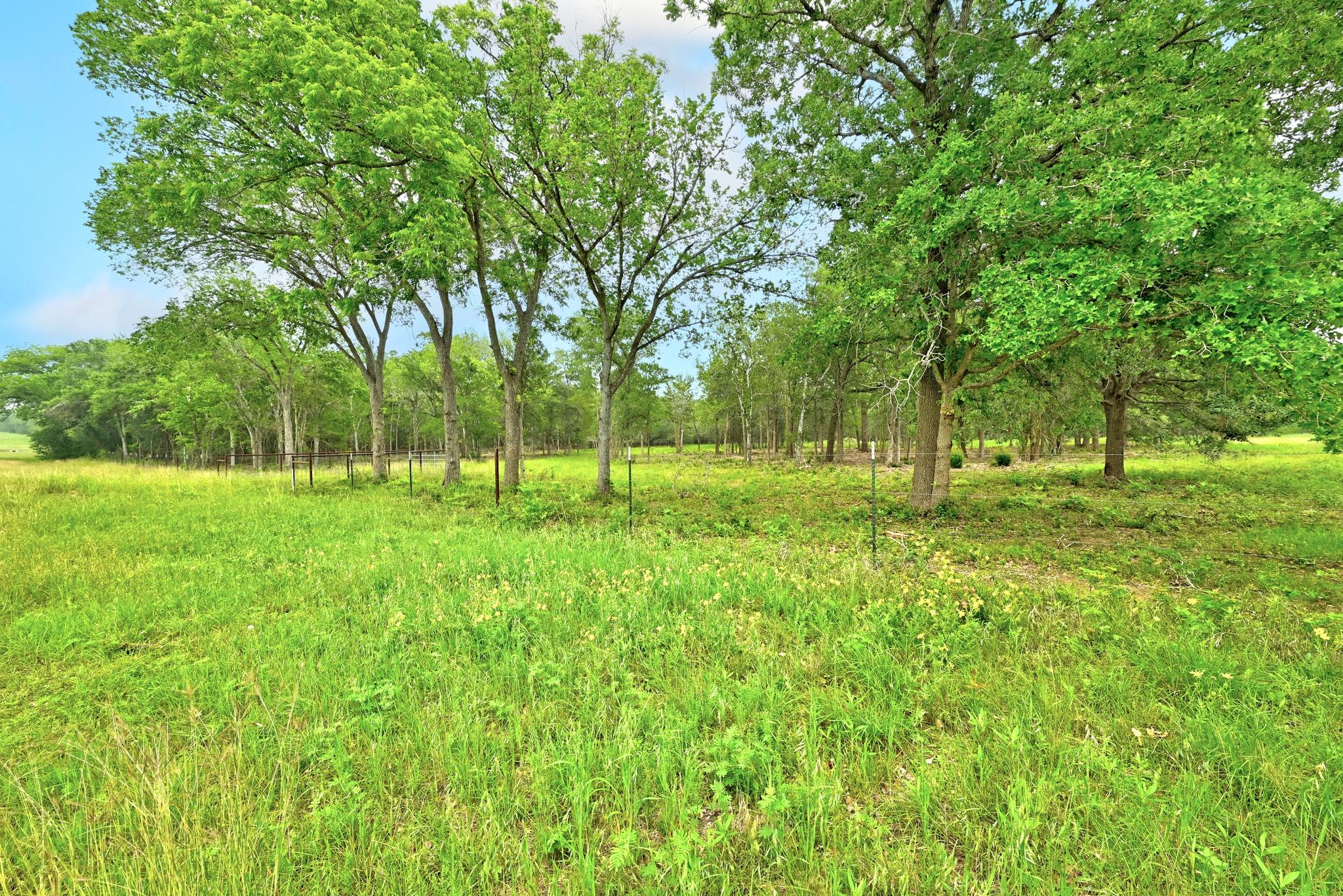 TBD Fm 20, Lockhart, TX 78644