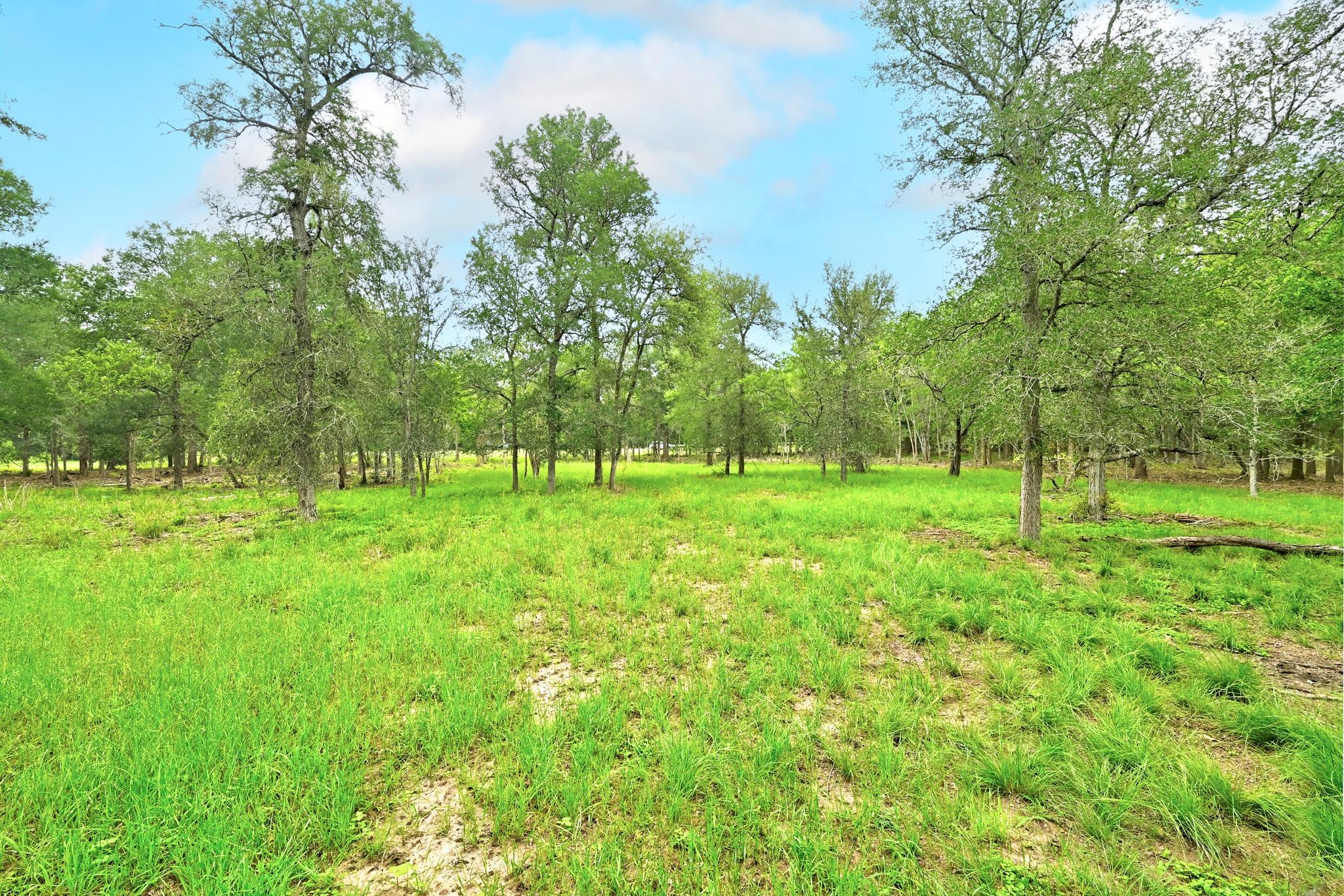 TBD Fm 20, Lockhart, TX 78644