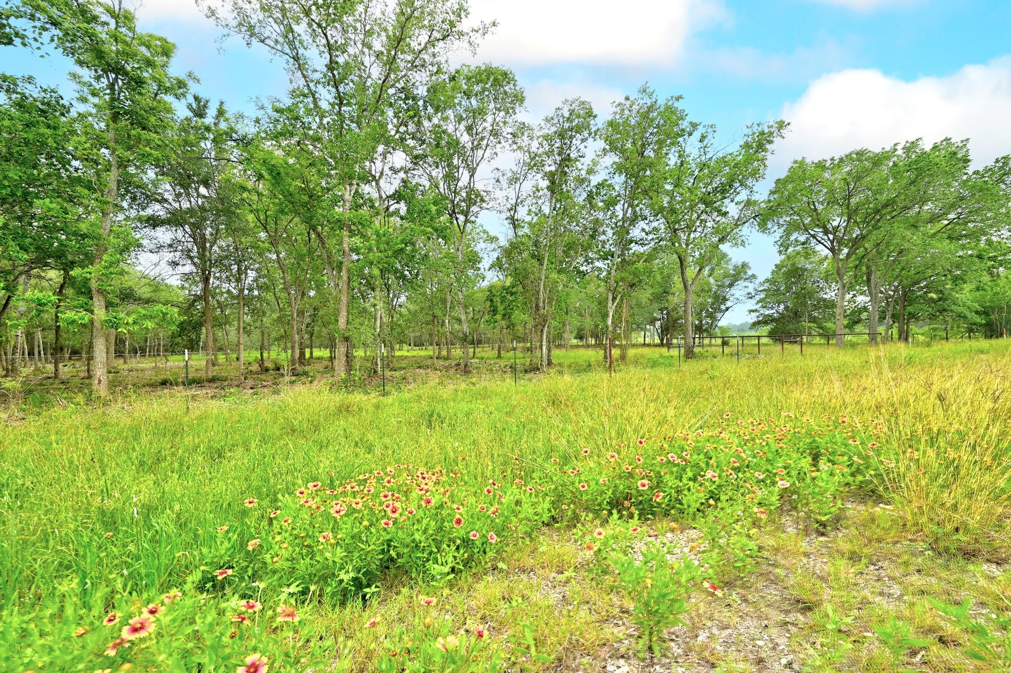 TBD Fm 20, Lockhart, TX 78644