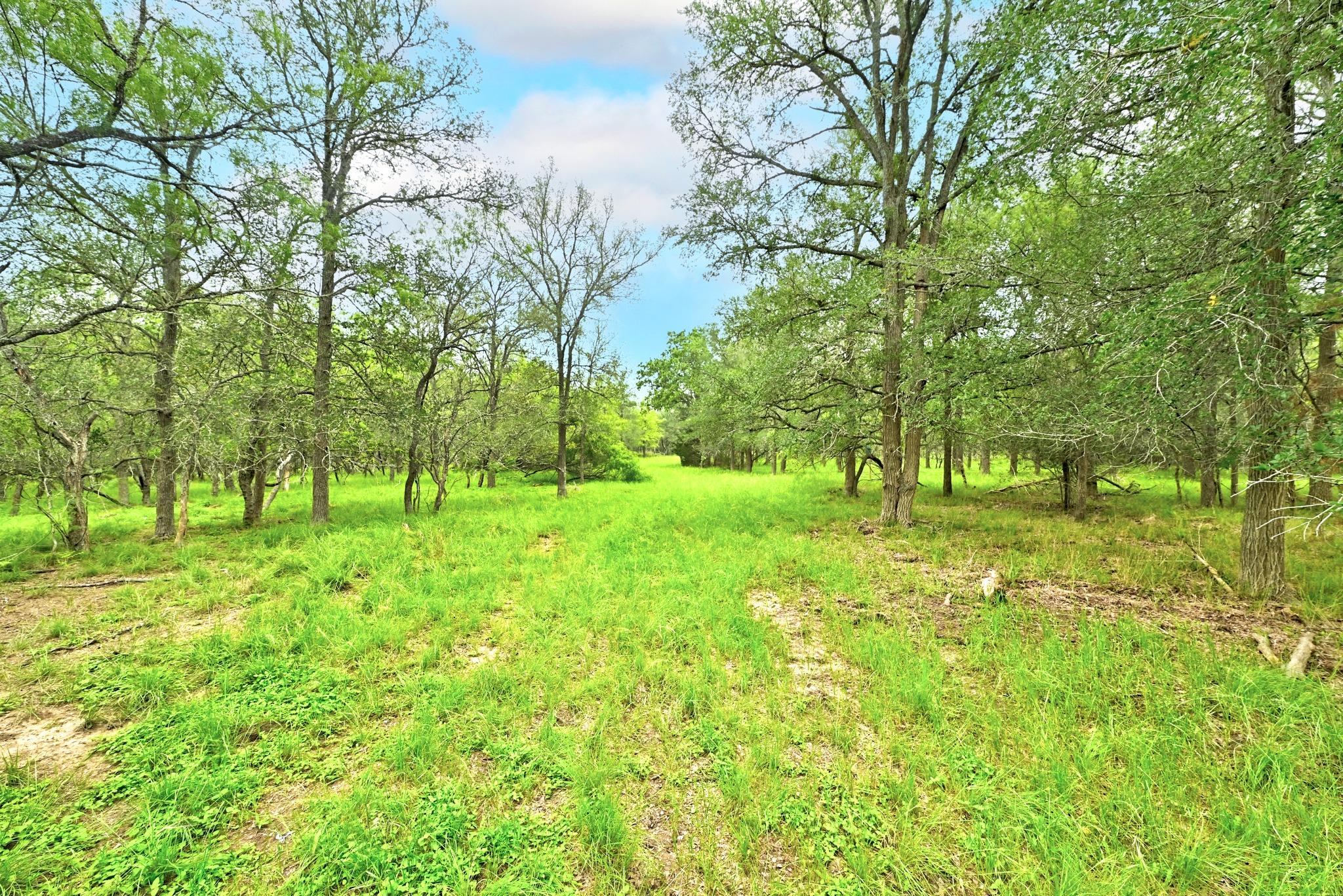 TBD Fm 20, Lockhart, TX 78644