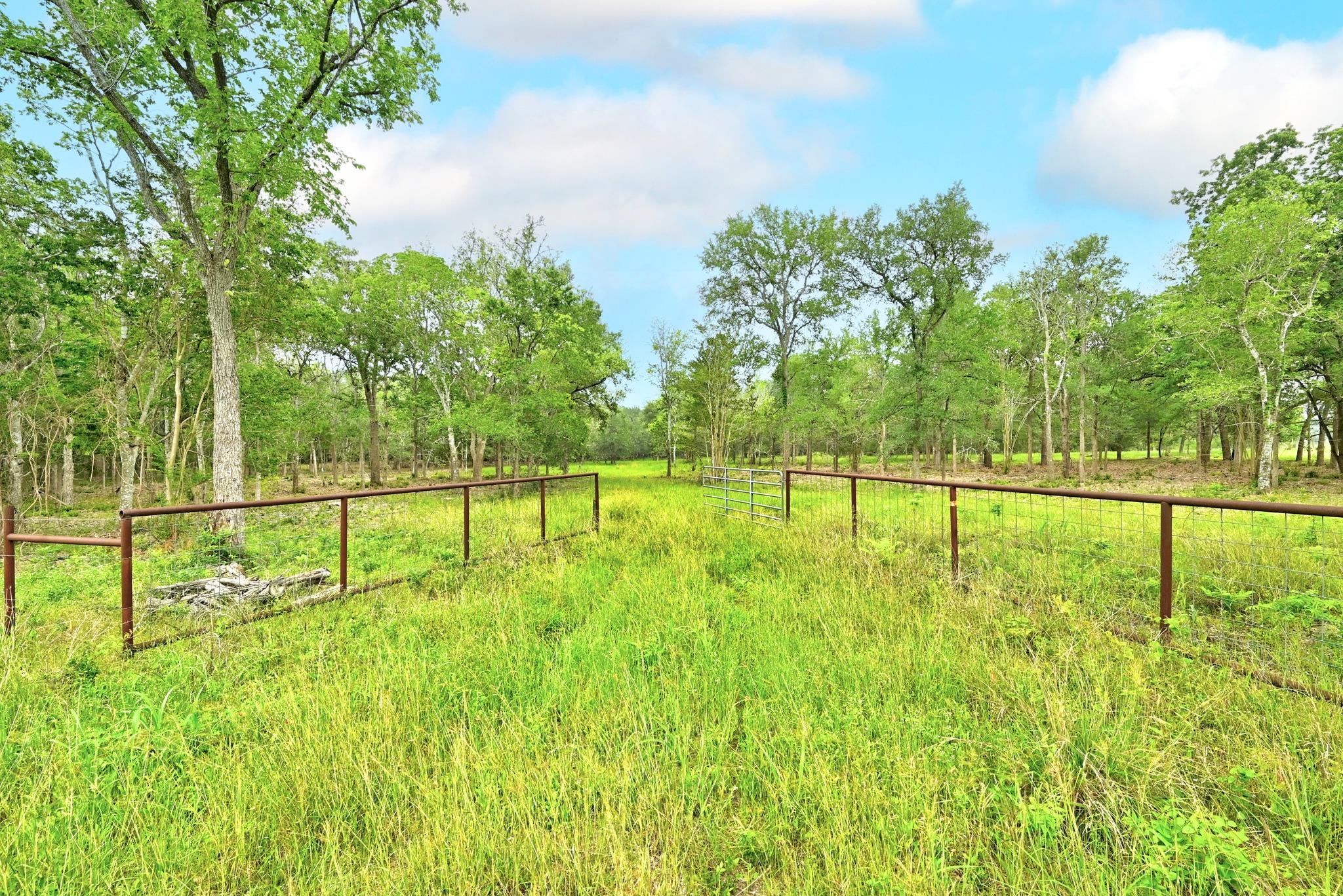 TBD Fm 20, Lockhart, TX 78644