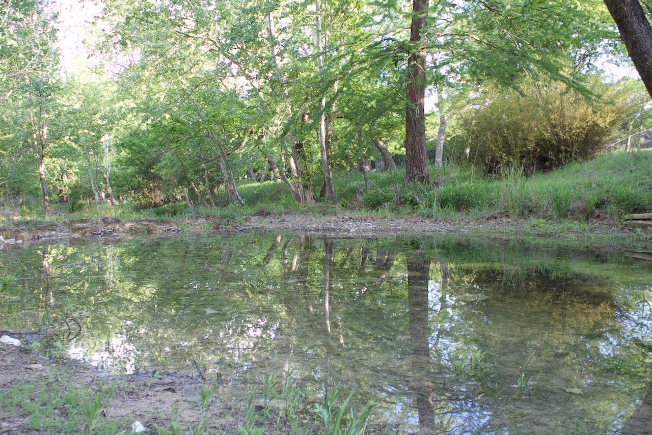 555 Hillsedge Rd, Wimberley, TX 78676