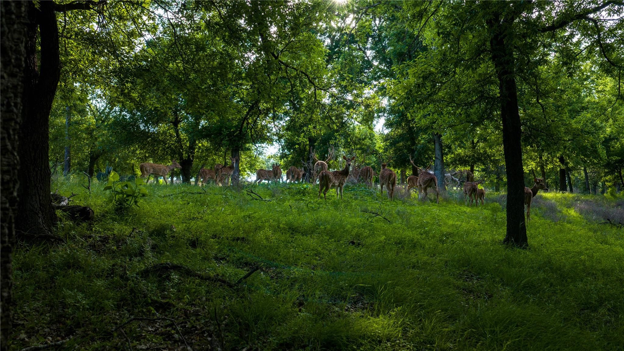 11290 E Us Highway 290, Fredericksburg, TX 78624