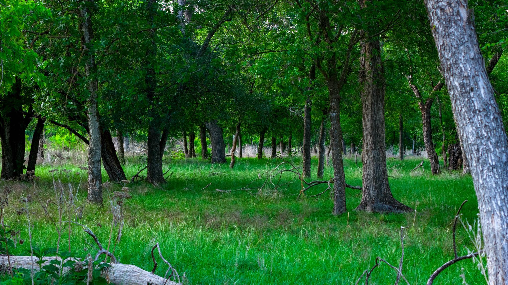 11290 E Us Highway 290, Fredericksburg, TX 78624