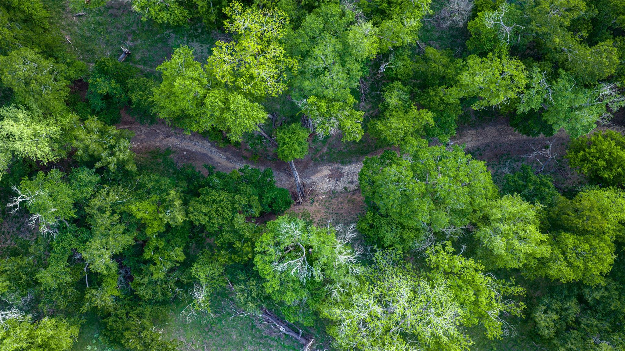 11290 E Us Highway 290, Fredericksburg, TX 78624