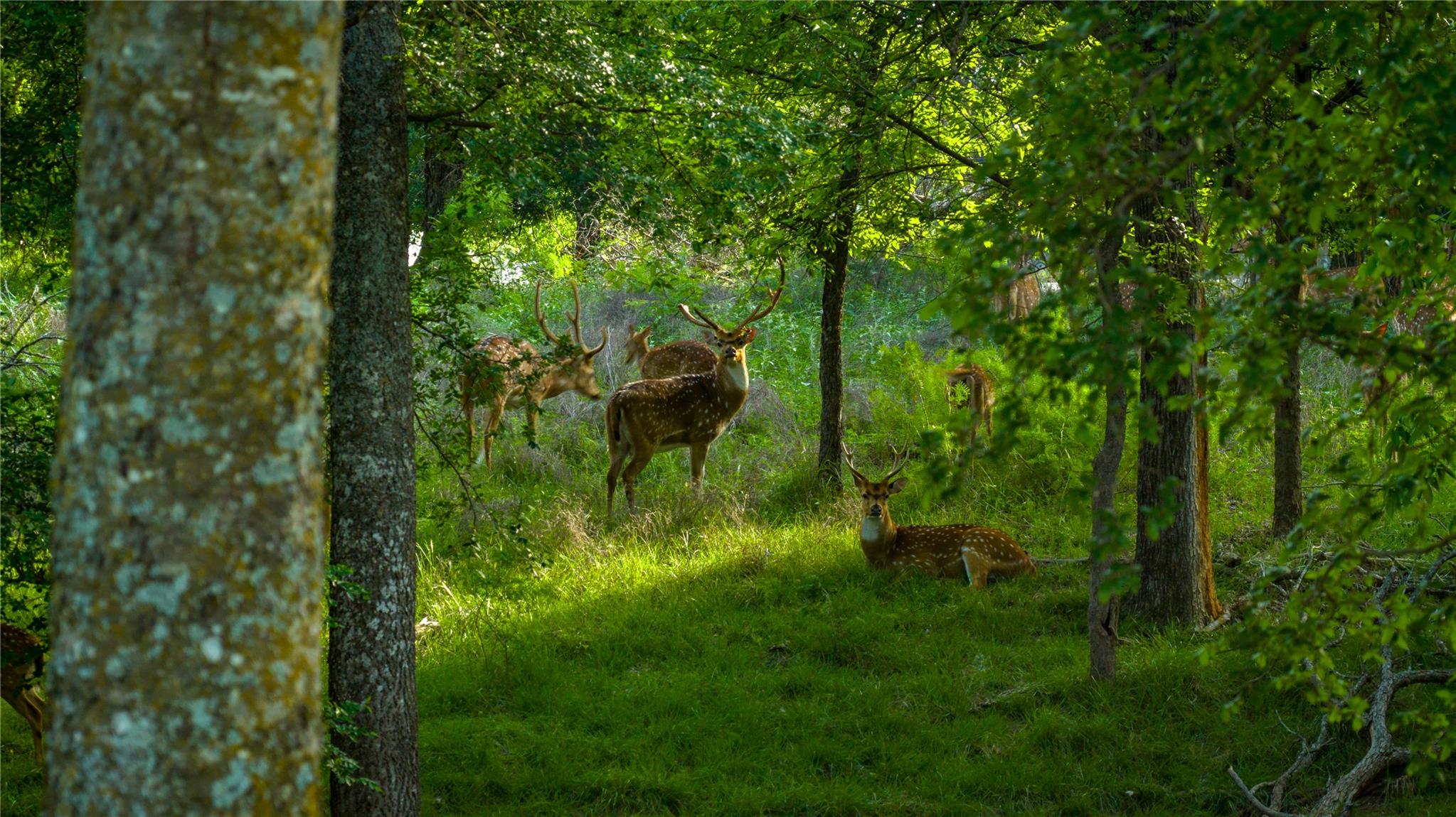 11290 E Us Highway 290, Fredericksburg, TX 78624