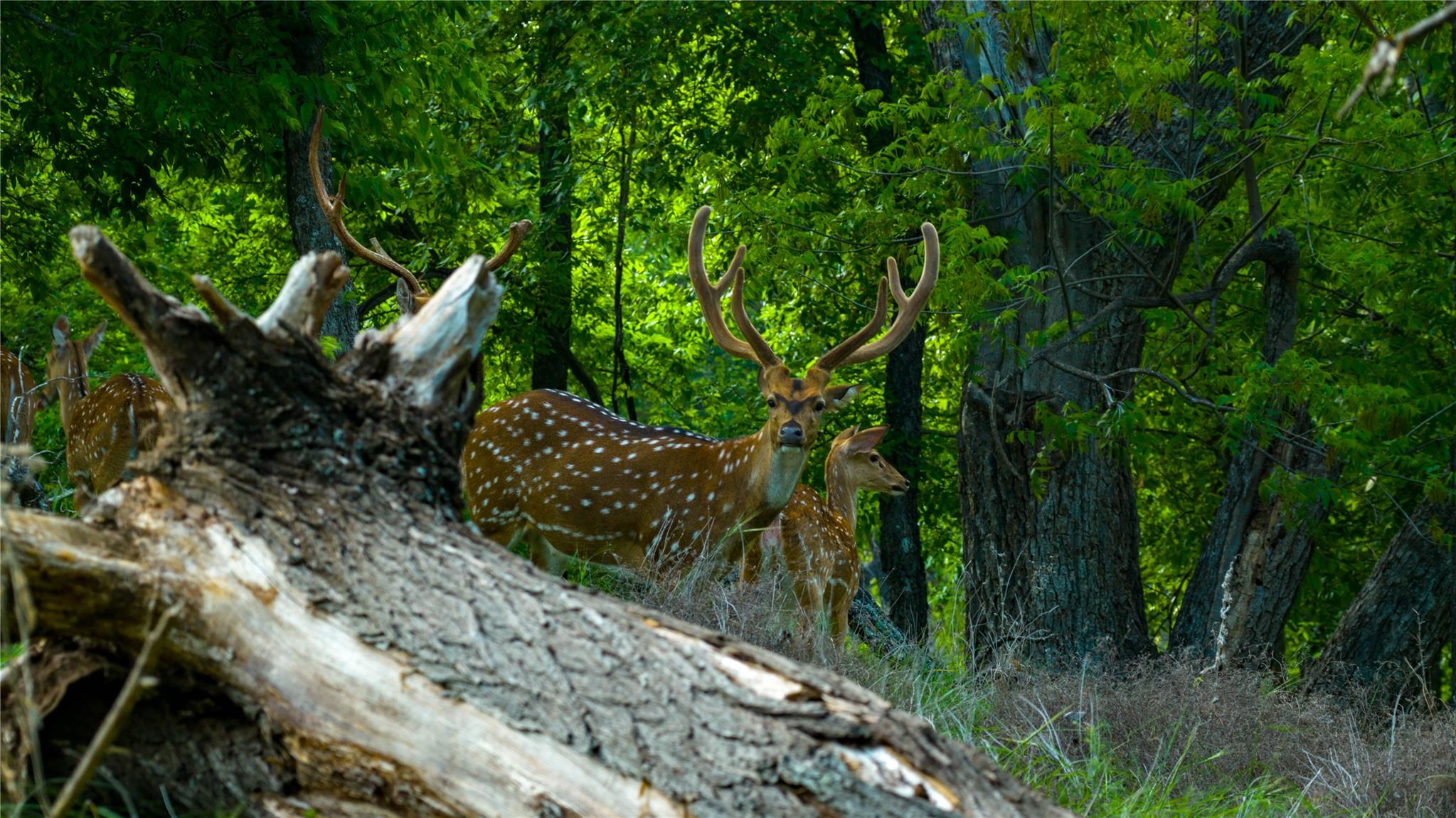 11290 E Us Highway 290, Fredericksburg, TX 78624