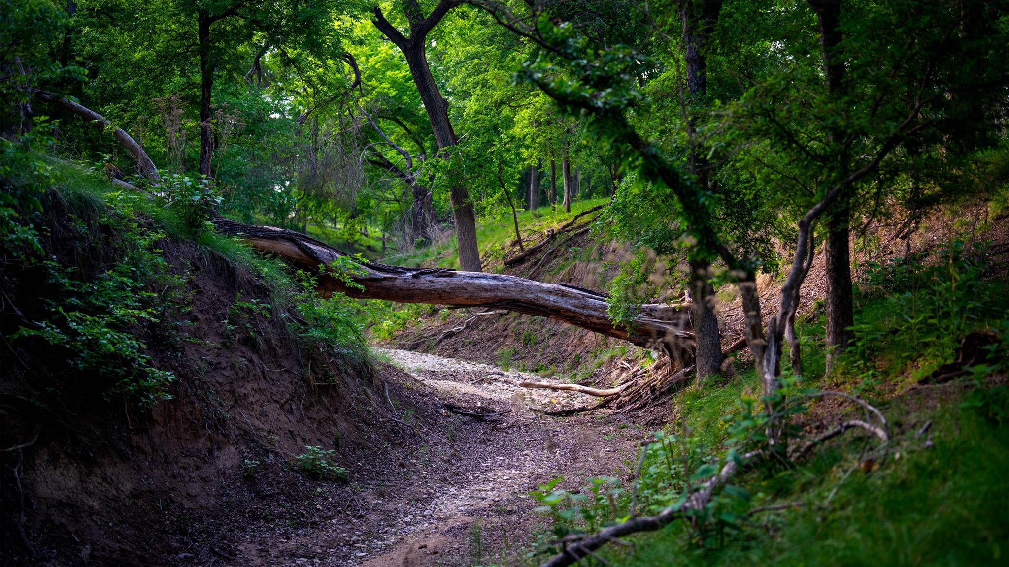 11290 E Us Highway 290, Fredericksburg, TX 78624