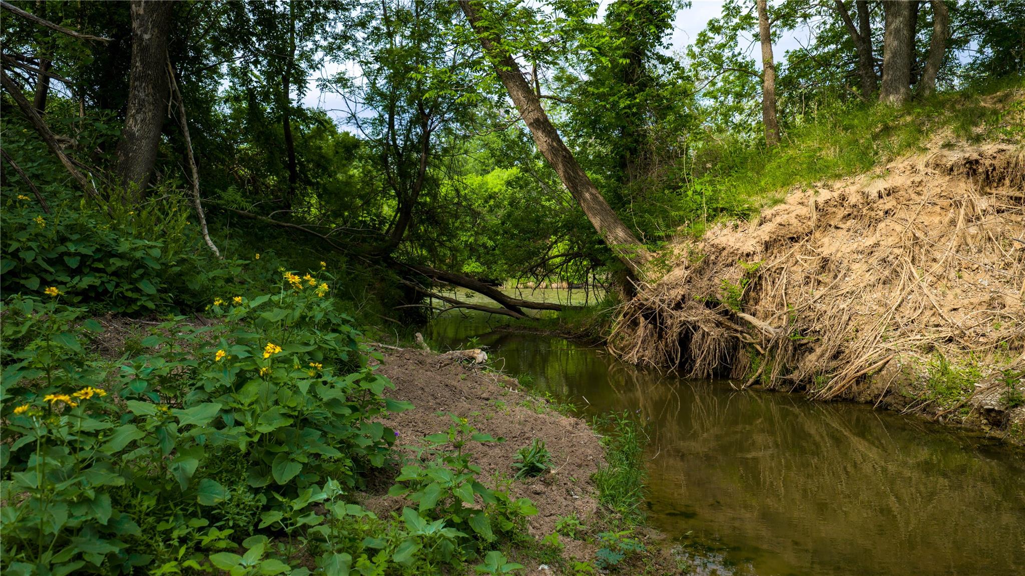 11290 E Us Highway 290, Fredericksburg, TX 78624