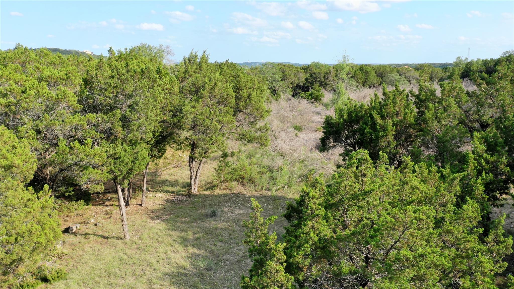 7225 Sunswept Dr, Jonestown, TX 78645
