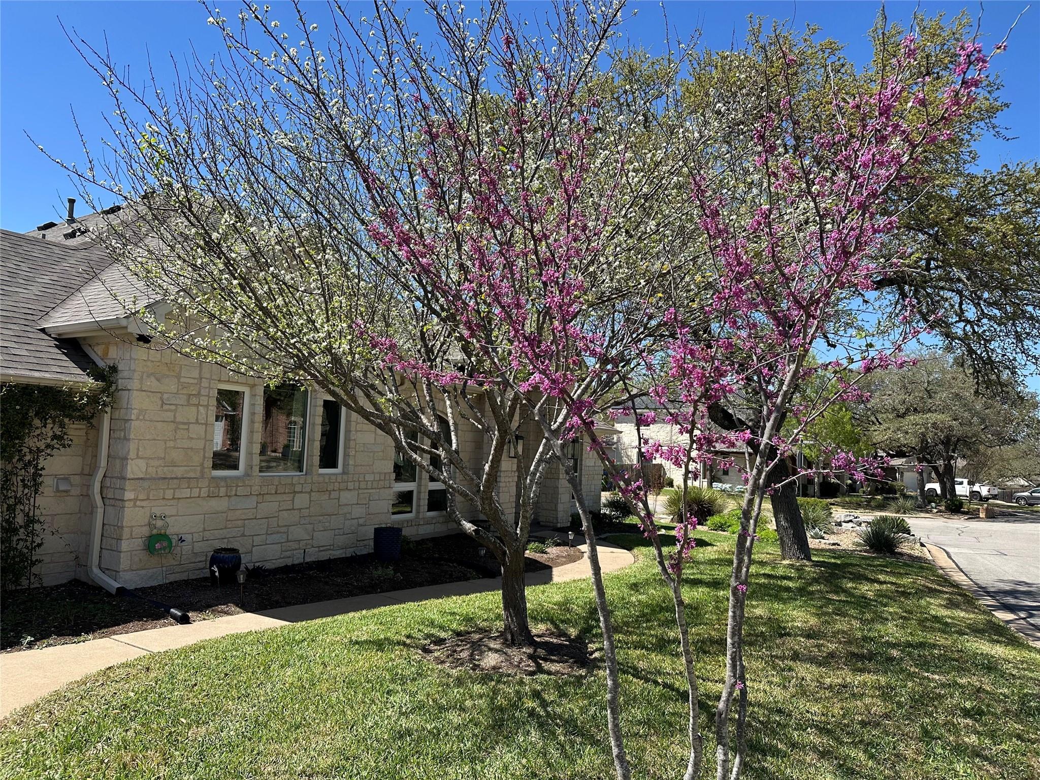 6513 Way Ln, Austin, TX 78739