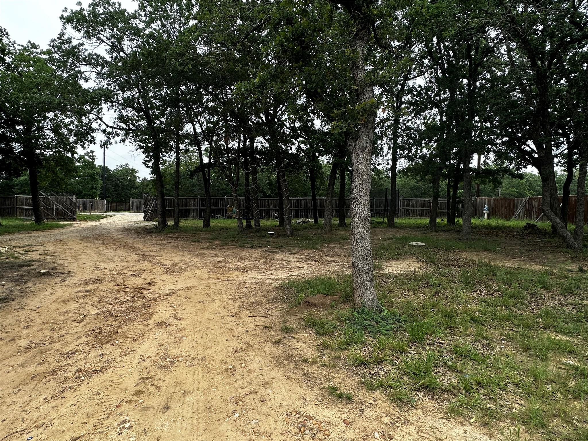 115 Antler Cv, Cedar Creek, TX 78612