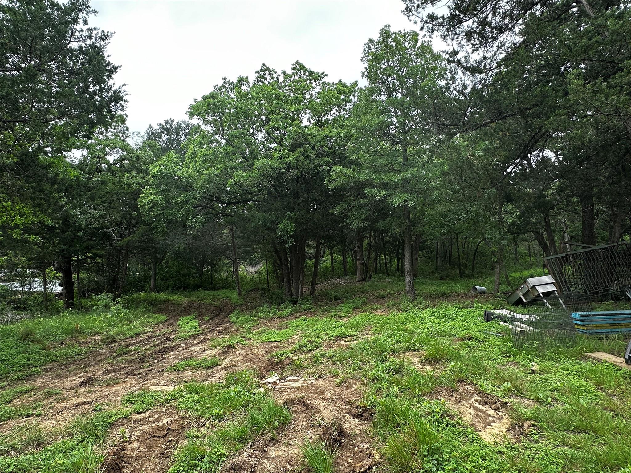 115 Antler Cv, Cedar Creek, TX 78612