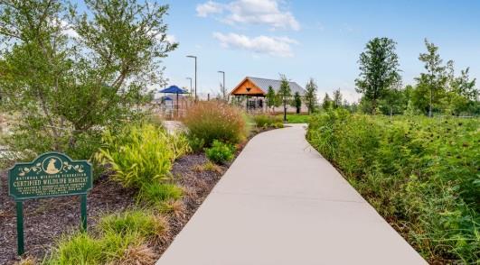 15416 Welsh Mills Dr, Pflugerville, TX 78660