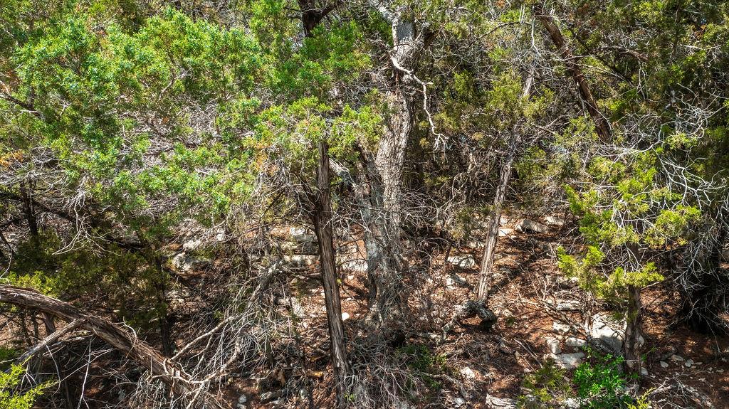 1306 Daviot Dr, Spicewood, TX 78669