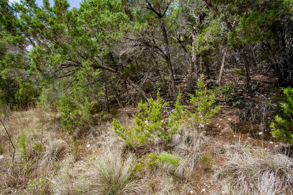 1306 Daviot Dr, Spicewood, TX 78669