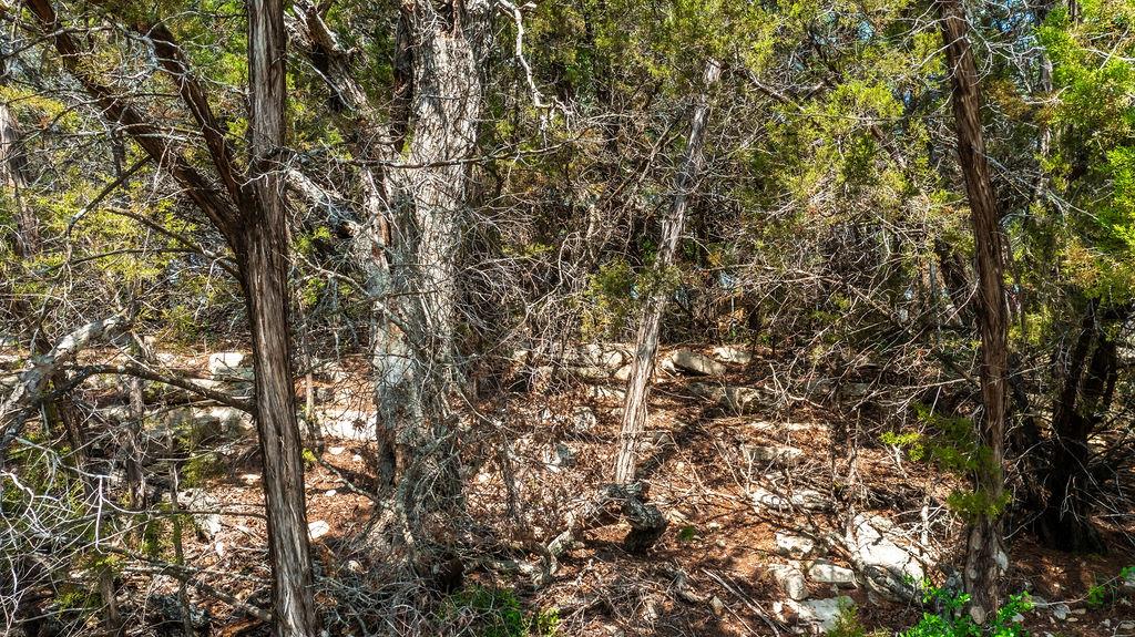 1306 Daviot Dr, Spicewood, TX 78669