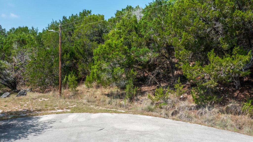 1306 Daviot Dr, Spicewood, TX 78669