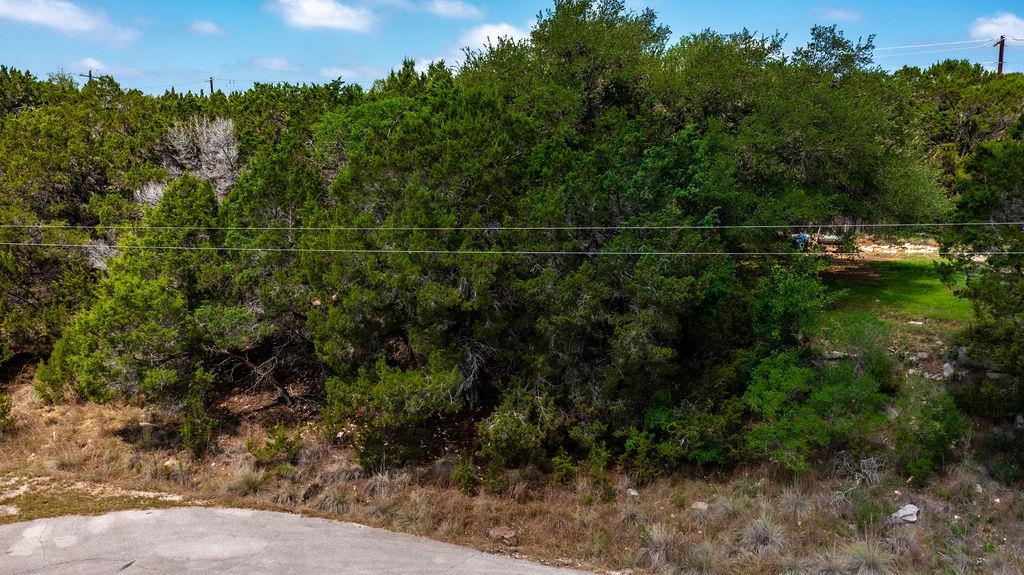 1306 Daviot Dr, Spicewood, TX 78669