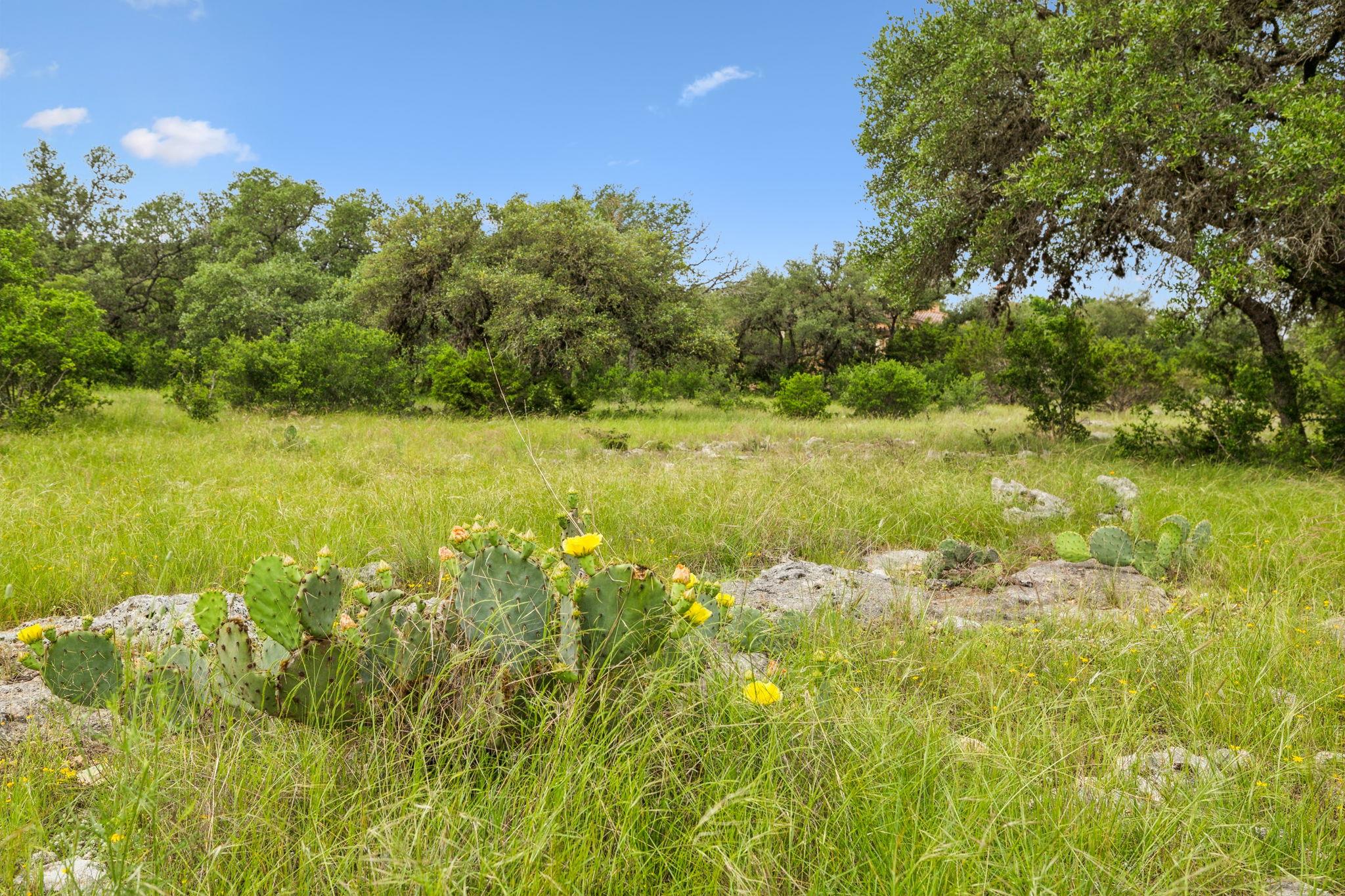 257 Augusta, Boerne, TX 78006