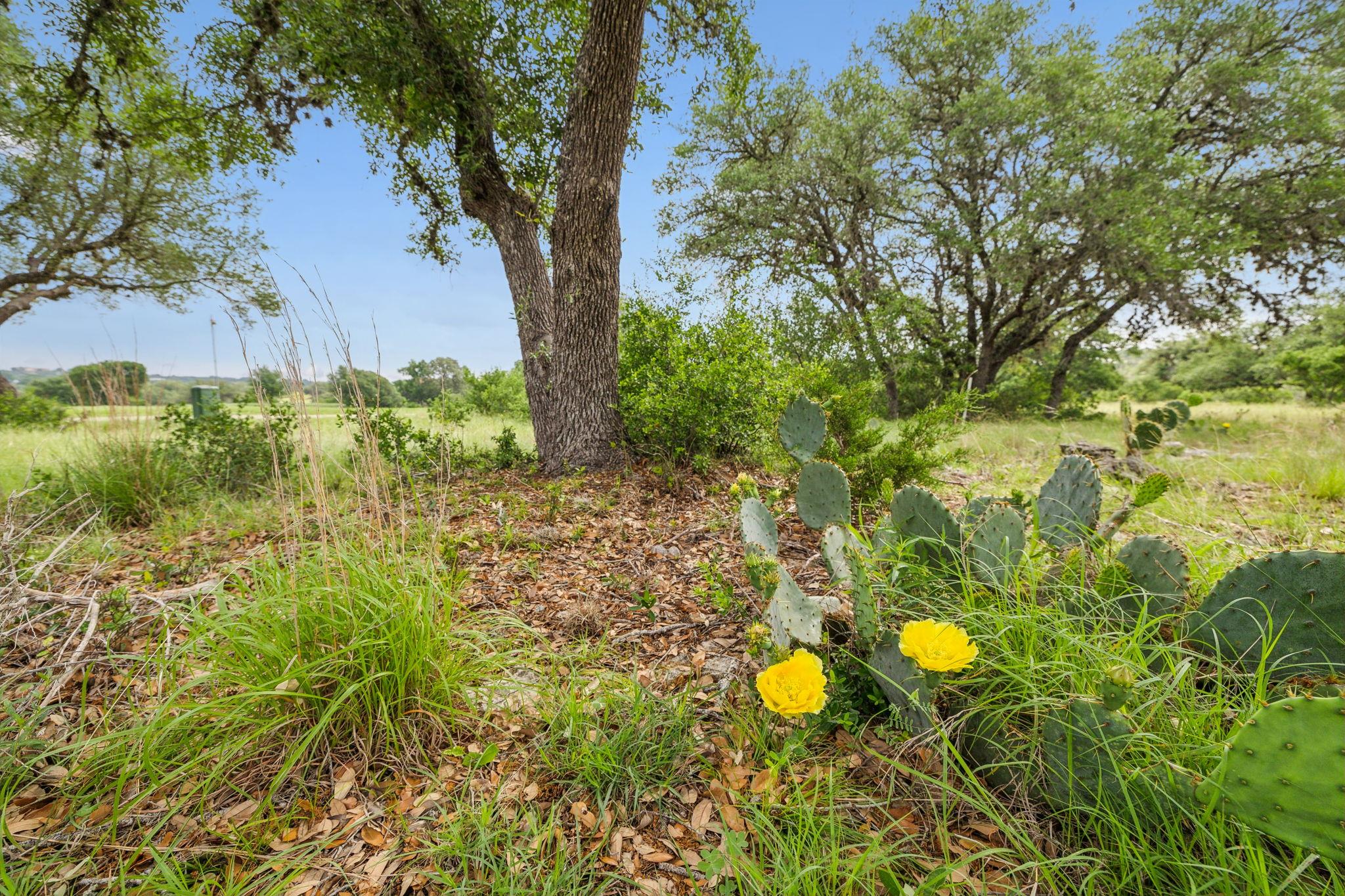 257 Augusta, Boerne, TX 78006