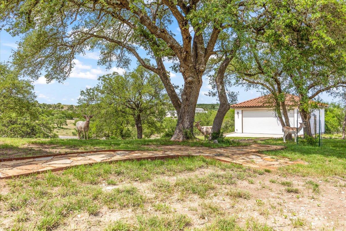 230 Dry Bear Crk, New Braunfels, TX 78132