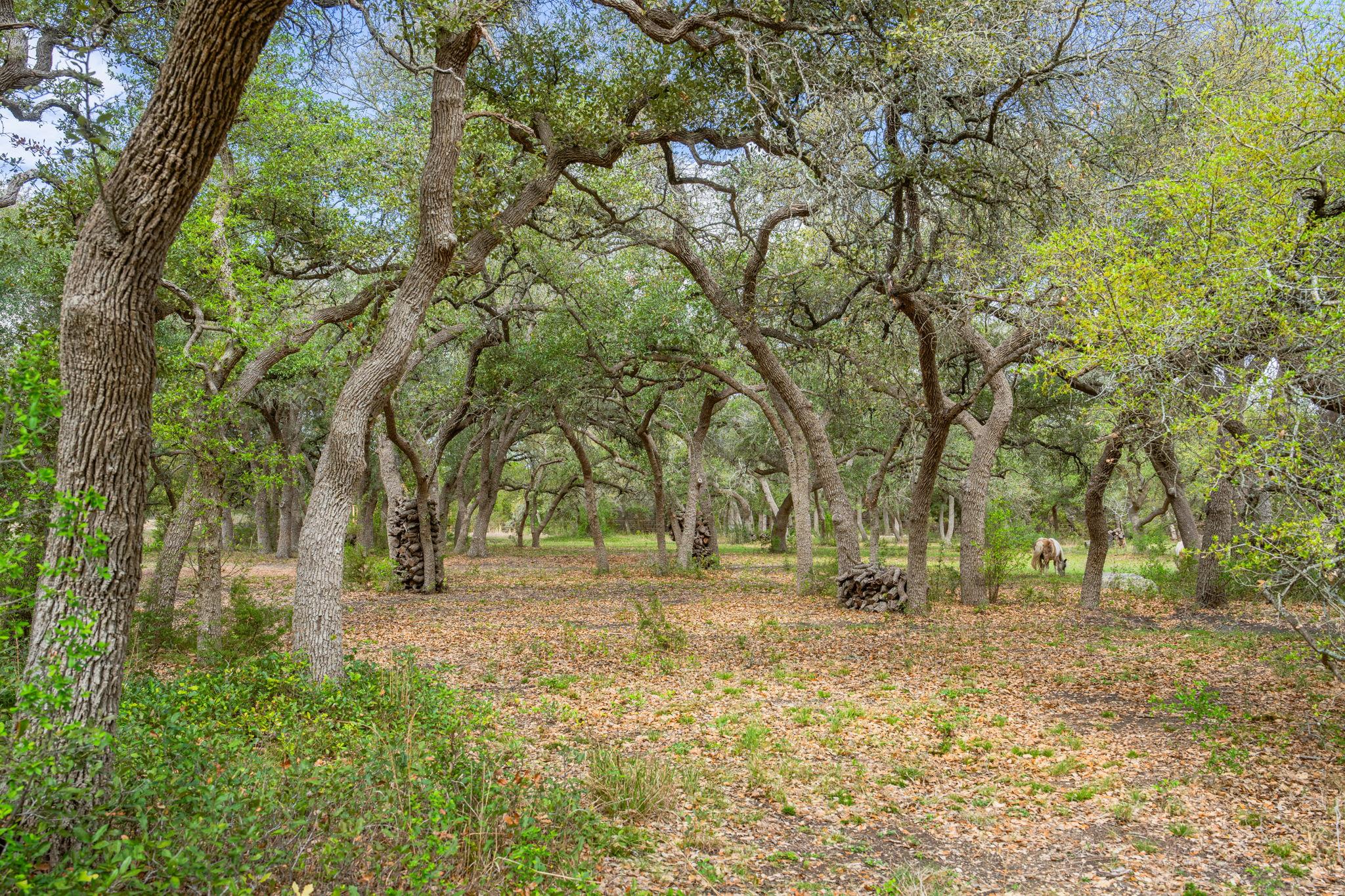 100 Rainbows End, Wimberley, TX 78676